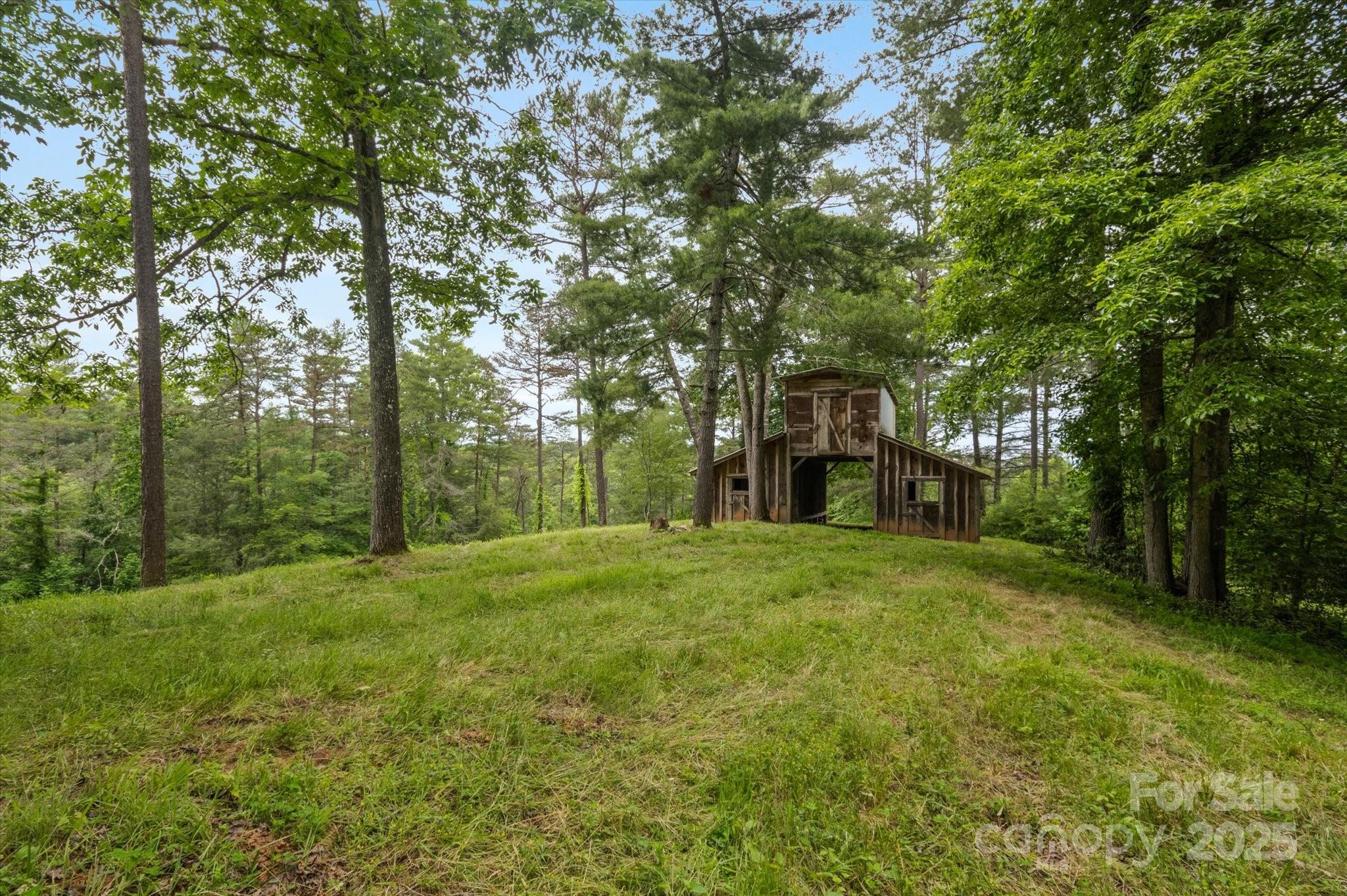 Lot at 942 Paint Fork Road, Mars Hill, photo 48 of 48