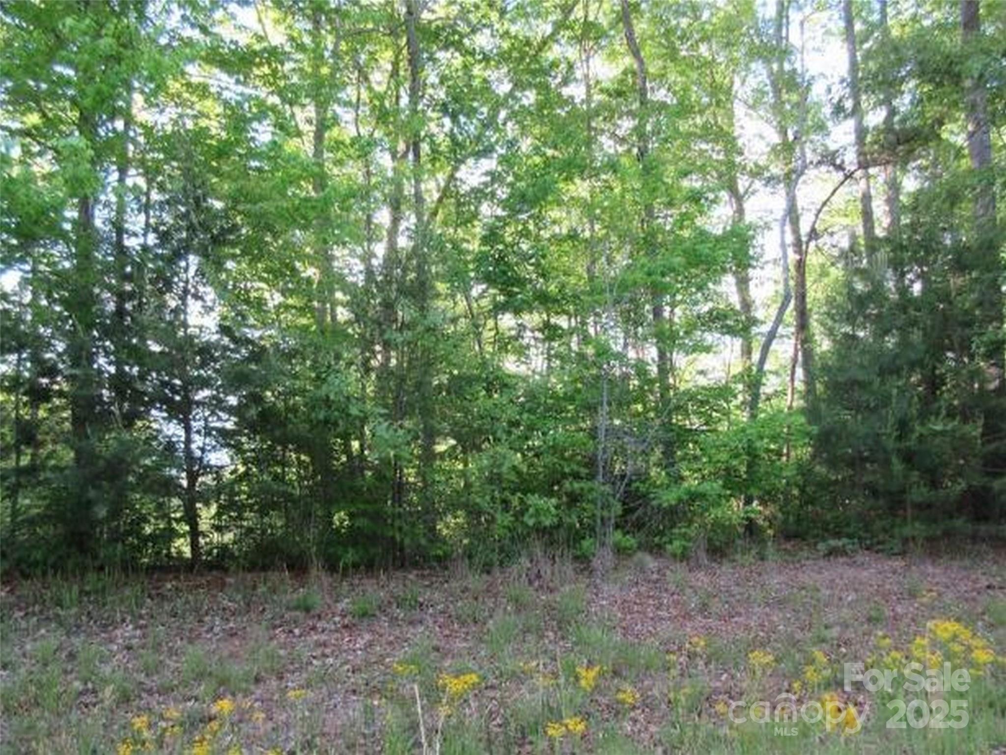 0 S Cross Creek Trail