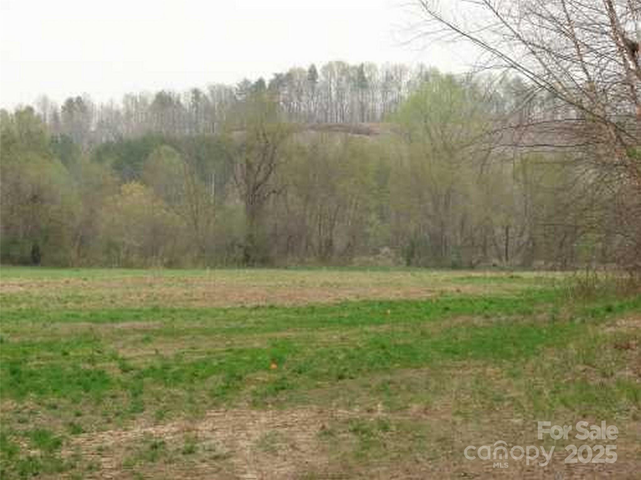 Lot at 0 S Cross Creek Trail, Mill Spring, photo 2 of 9