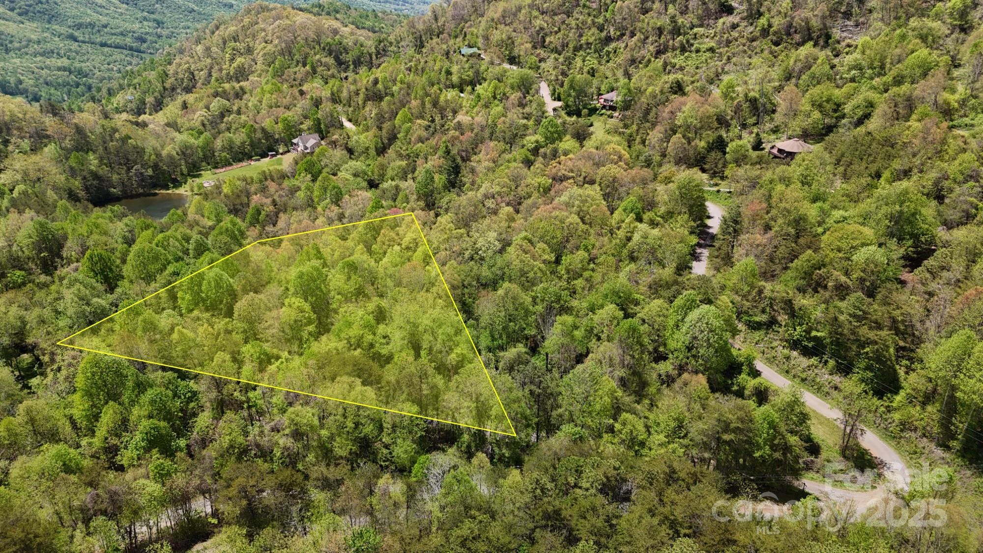 Longest side of triangle (bottom left in picture) is access road- Stony Pond Rd - 00 Troutman Trail, Leicester