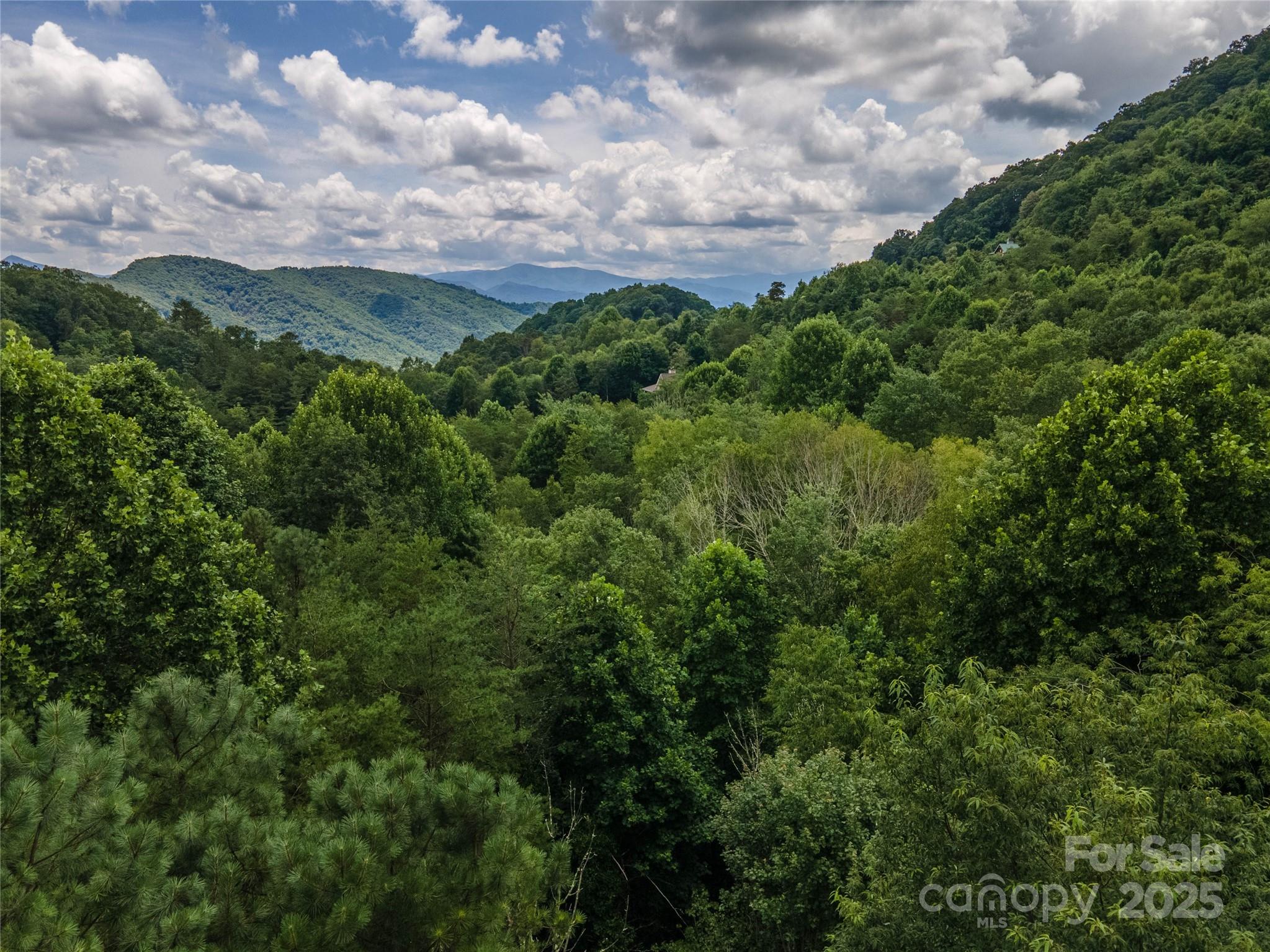 Canopy Drone View - 00 Troutman Trail, Leicester