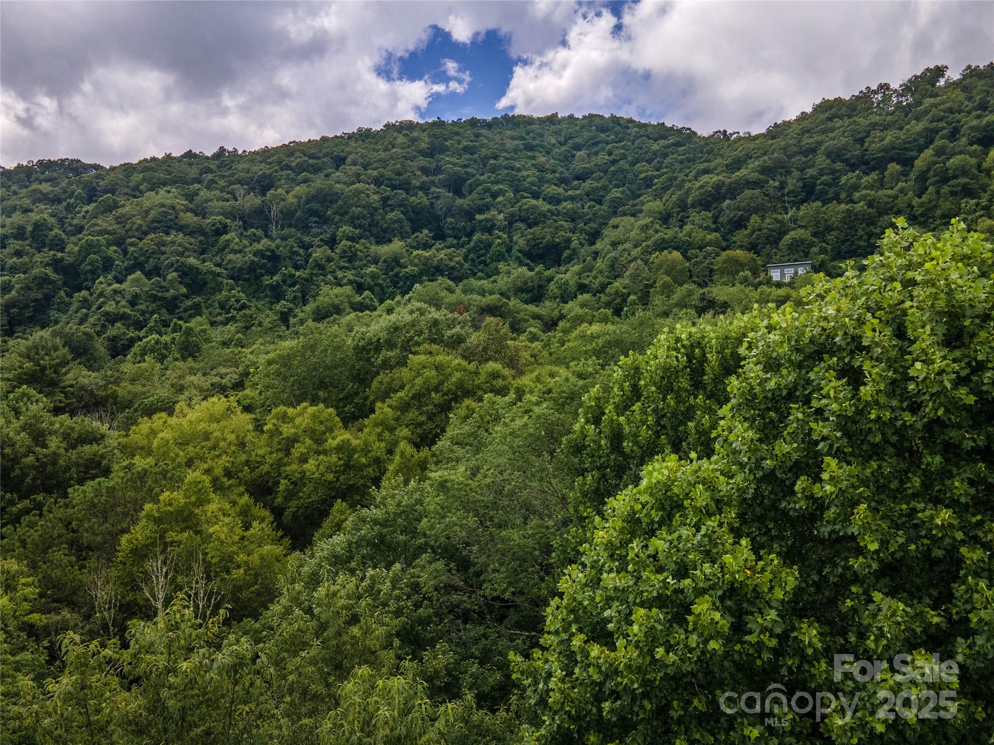 Can you spot your neighbors across the mountain? - 00 Troutman Trail, Leicester