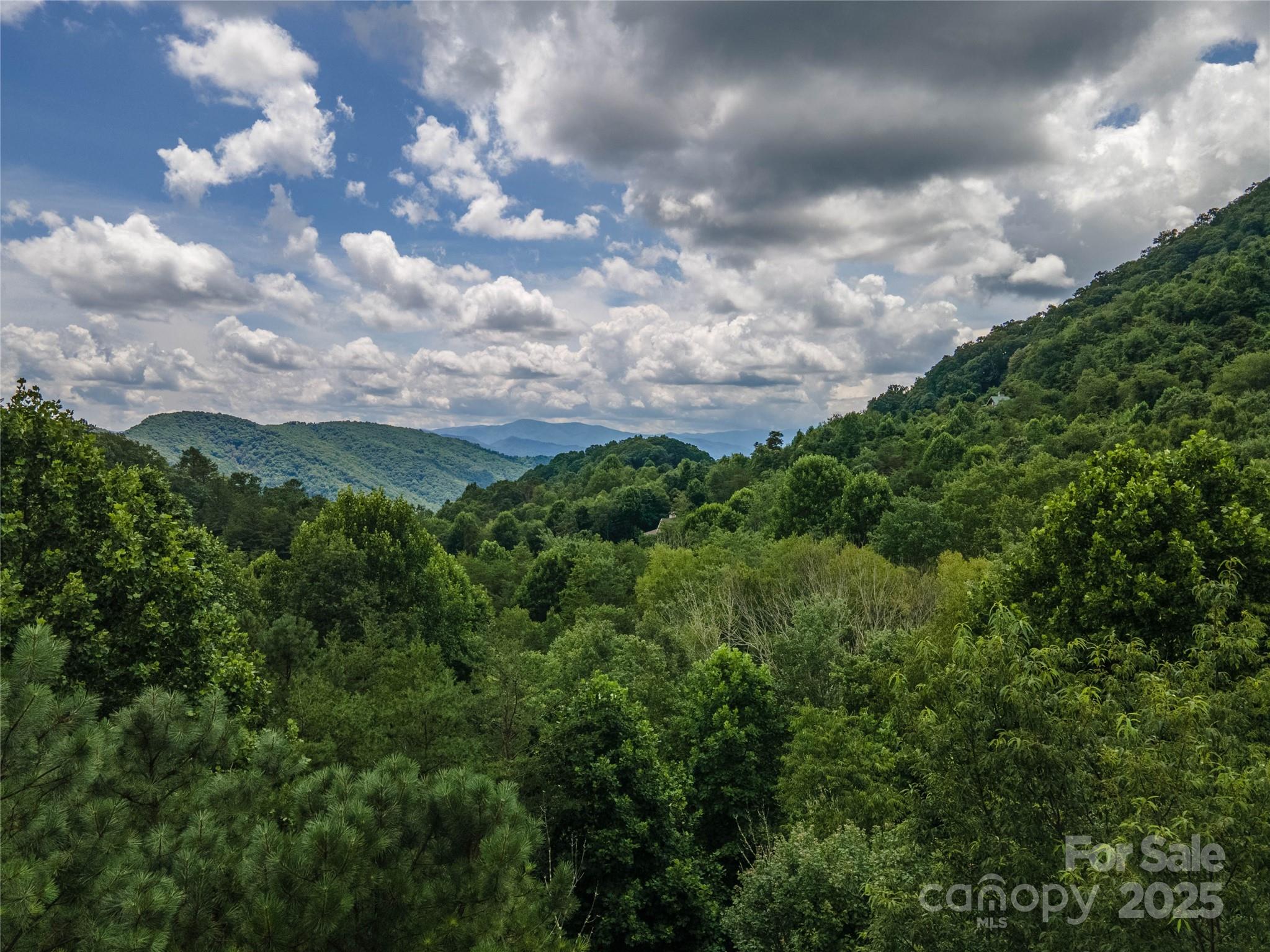 Lot at 00 Troutman Trail, Leicester, photo 12 of 21
