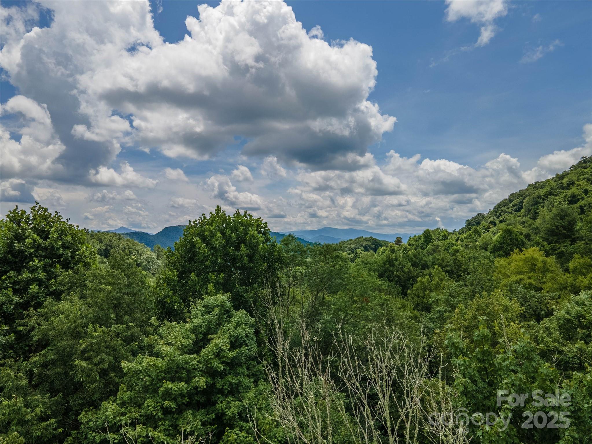 Lot at 00 Troutman Trail, Leicester, photo 13 of 21