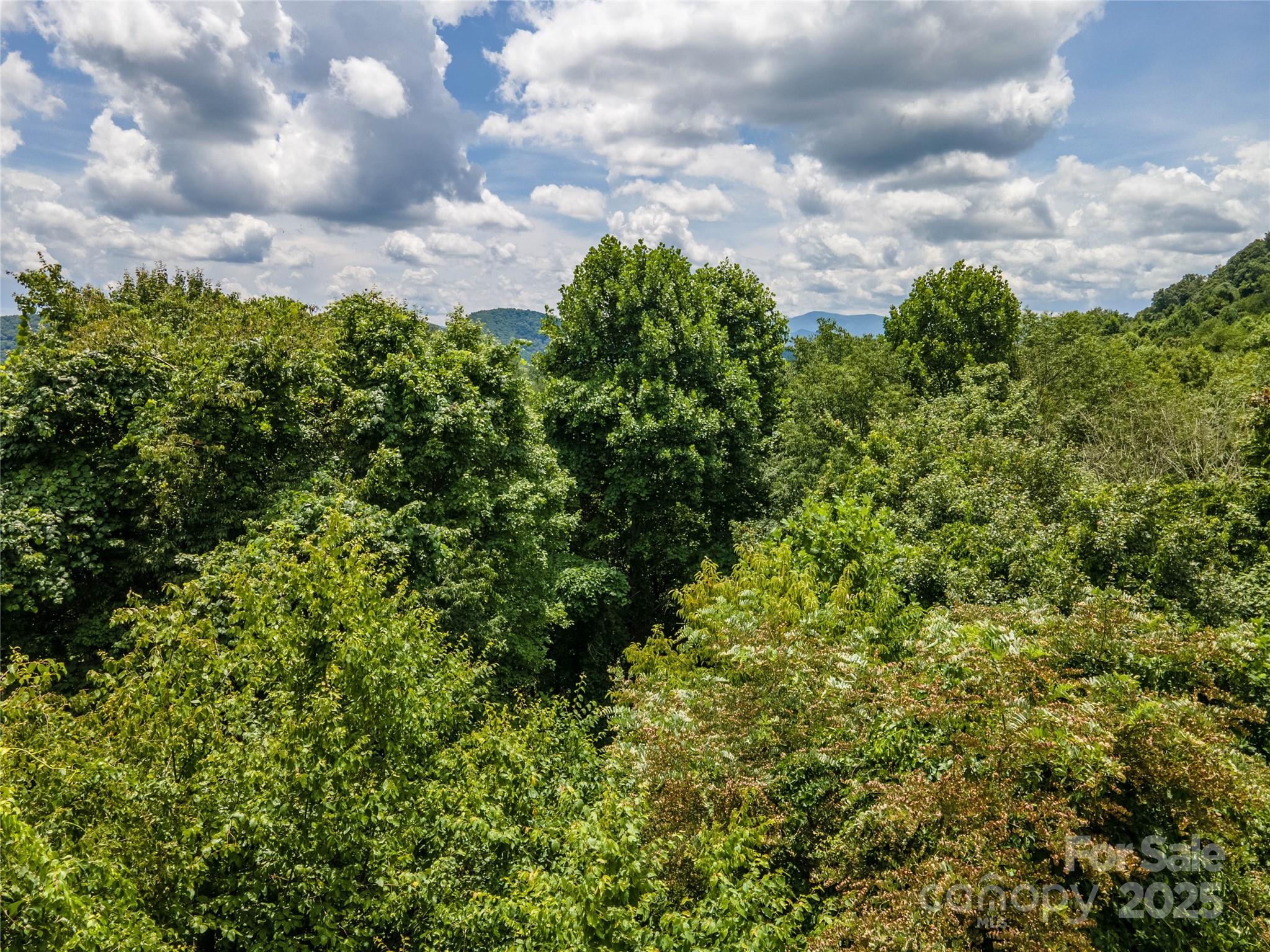 Lot at 00 Troutman Trail, Leicester, photo 14 of 21