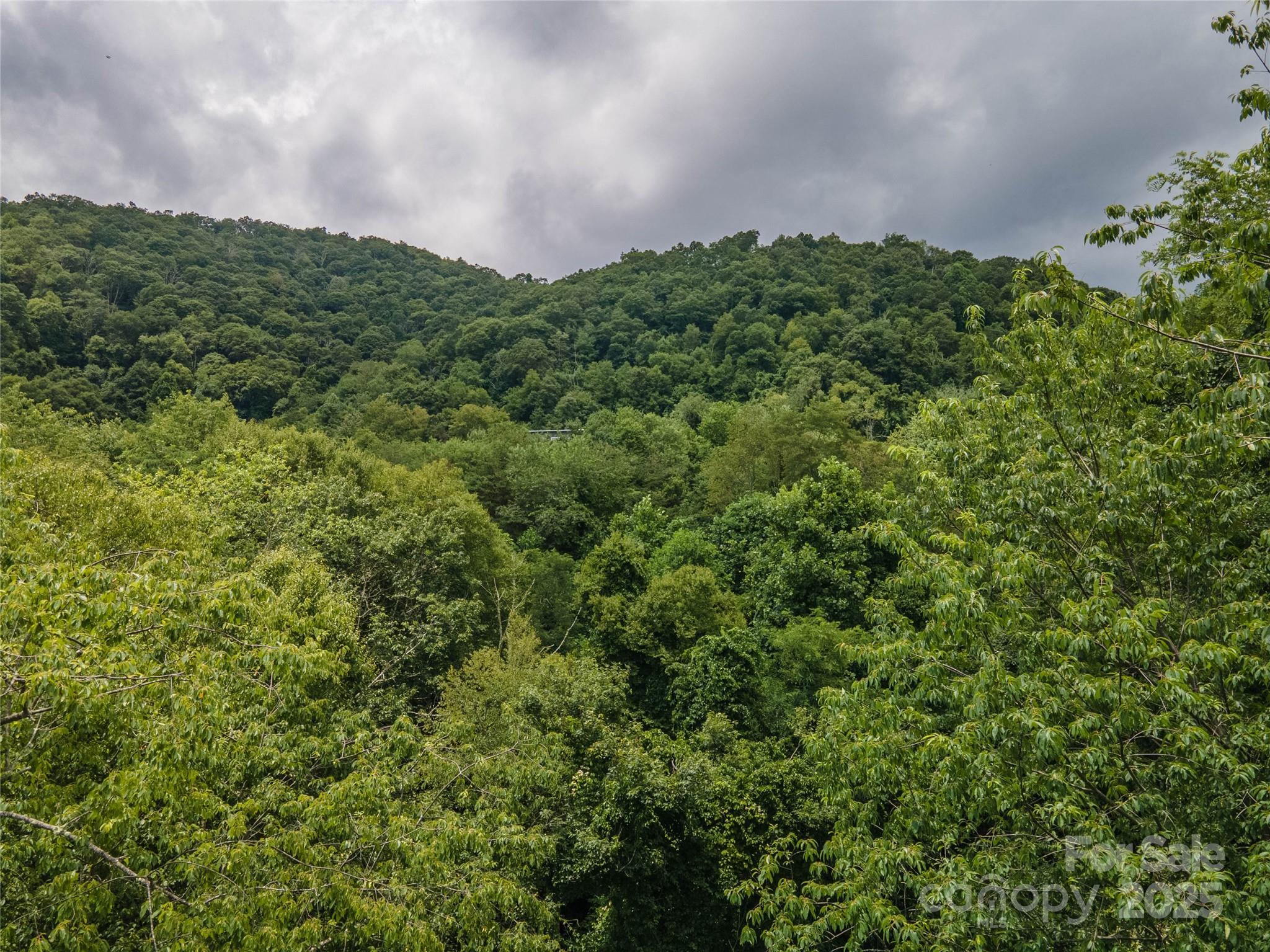 Lot at 00 Troutman Trail, Leicester, photo 15 of 21