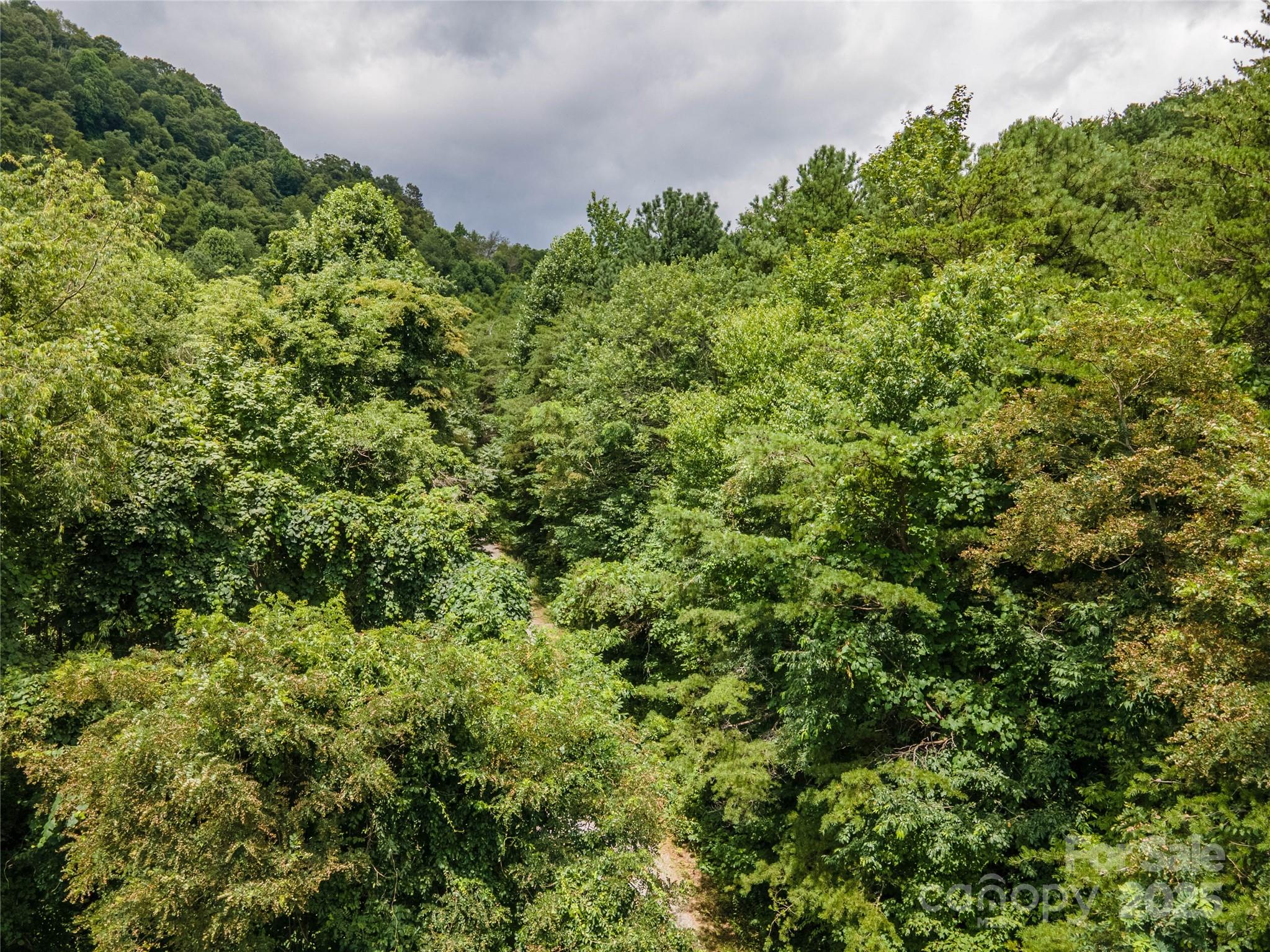 Lot at 00 Troutman Trail, Leicester, photo 16 of 21