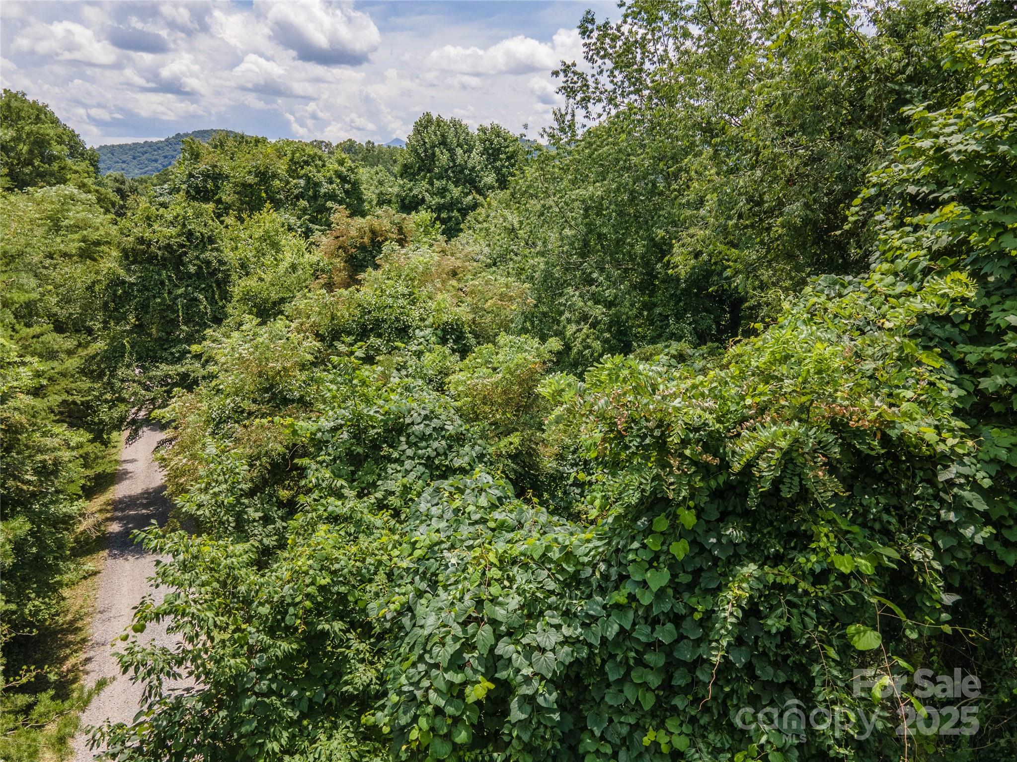 Drone at canopy level above turn onto Stony Pond Rd - 00 Troutman Trail, Leicester