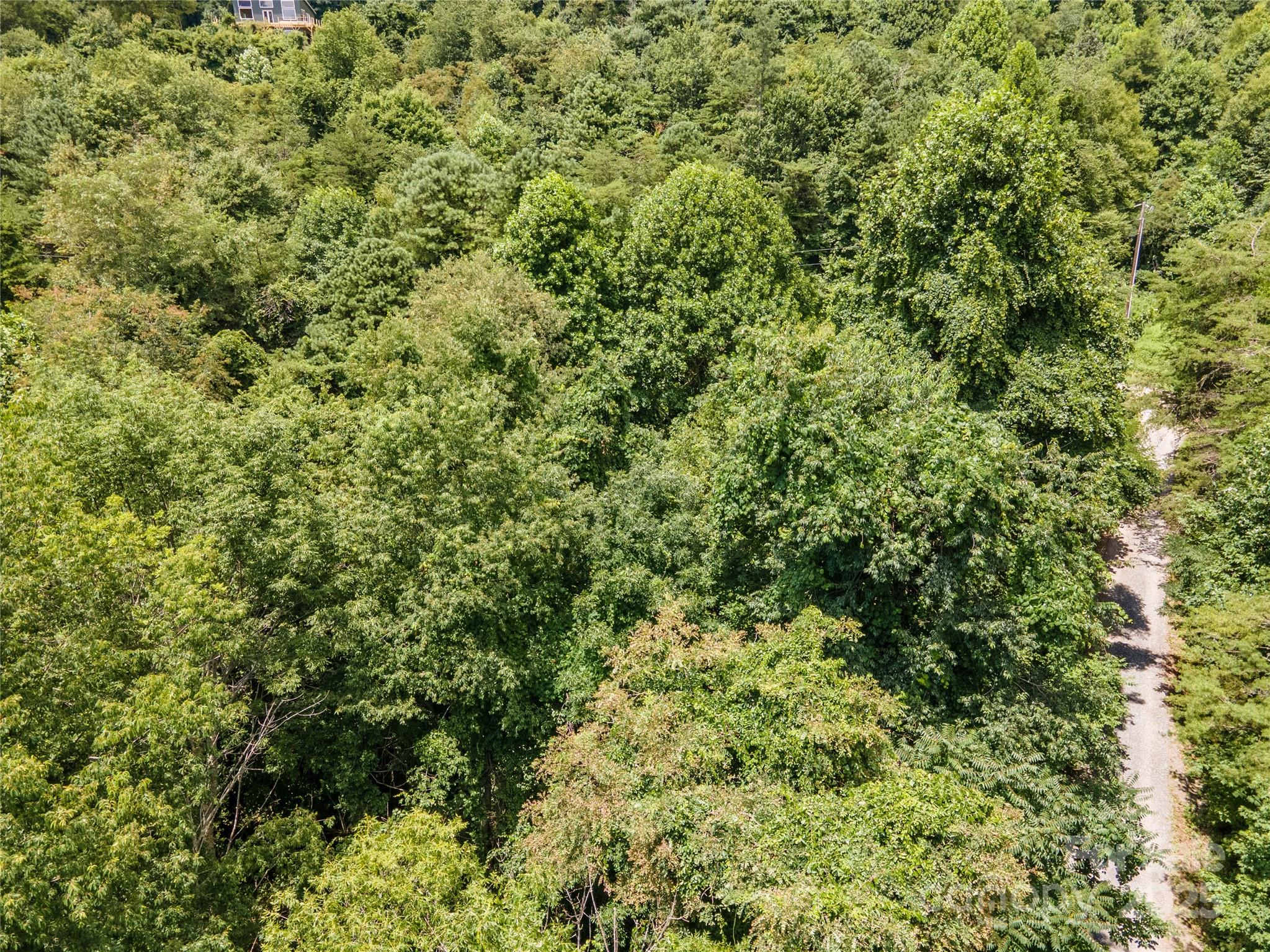 Plenty of mature trees - 00 Troutman Trail, Leicester