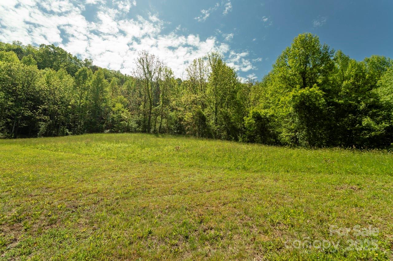 Acreage at Off of Locust Creek Road, Sylva, photo 2 of 20