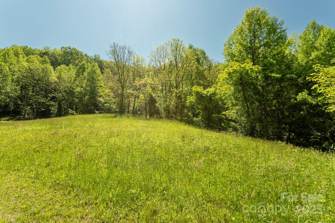 Acreage at Off of Locust Creek Road, Sylva, photo 7 of 20