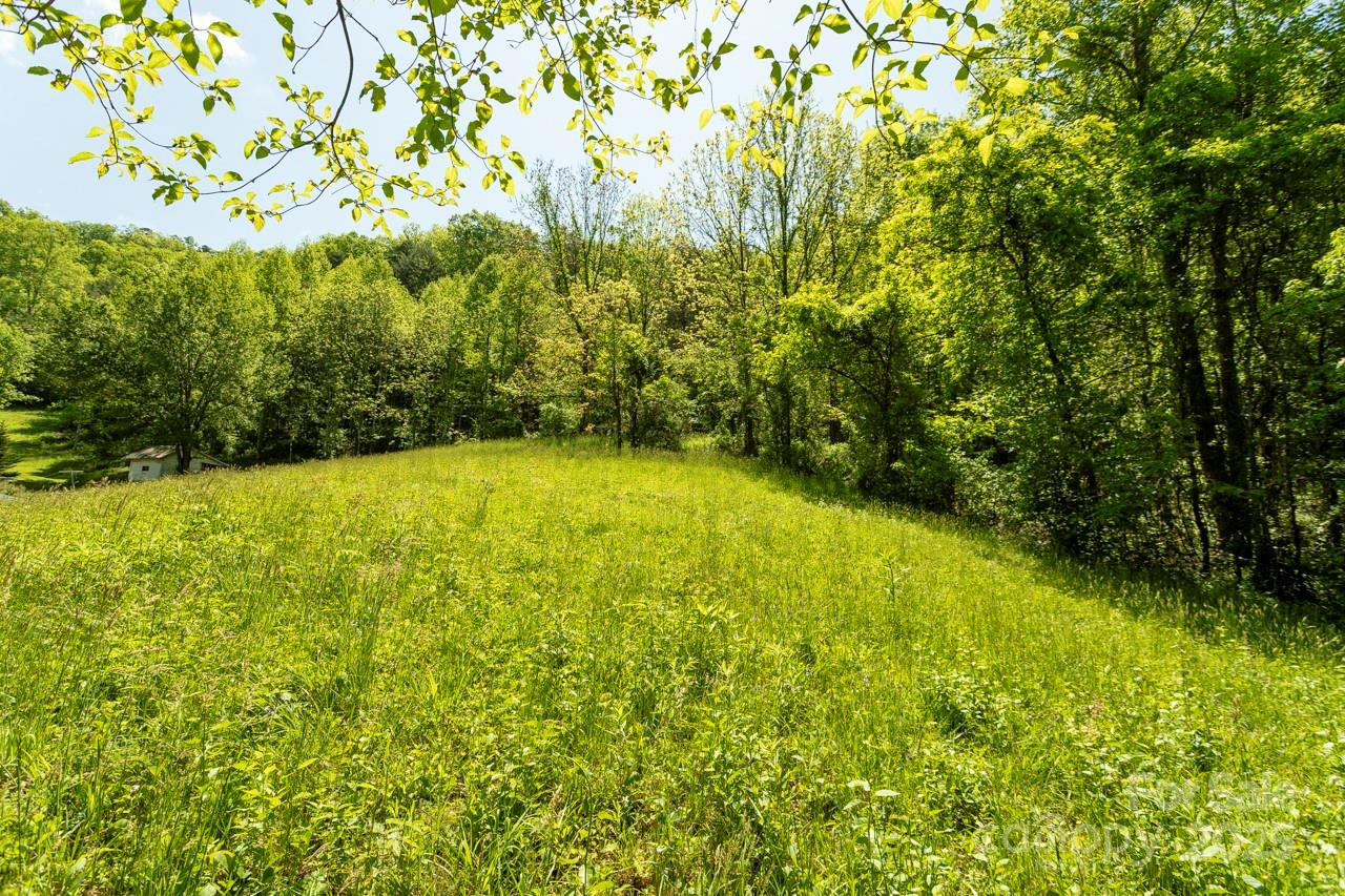 Acreage at Off of Locust Creek Road, Sylva, photo 8 of 20