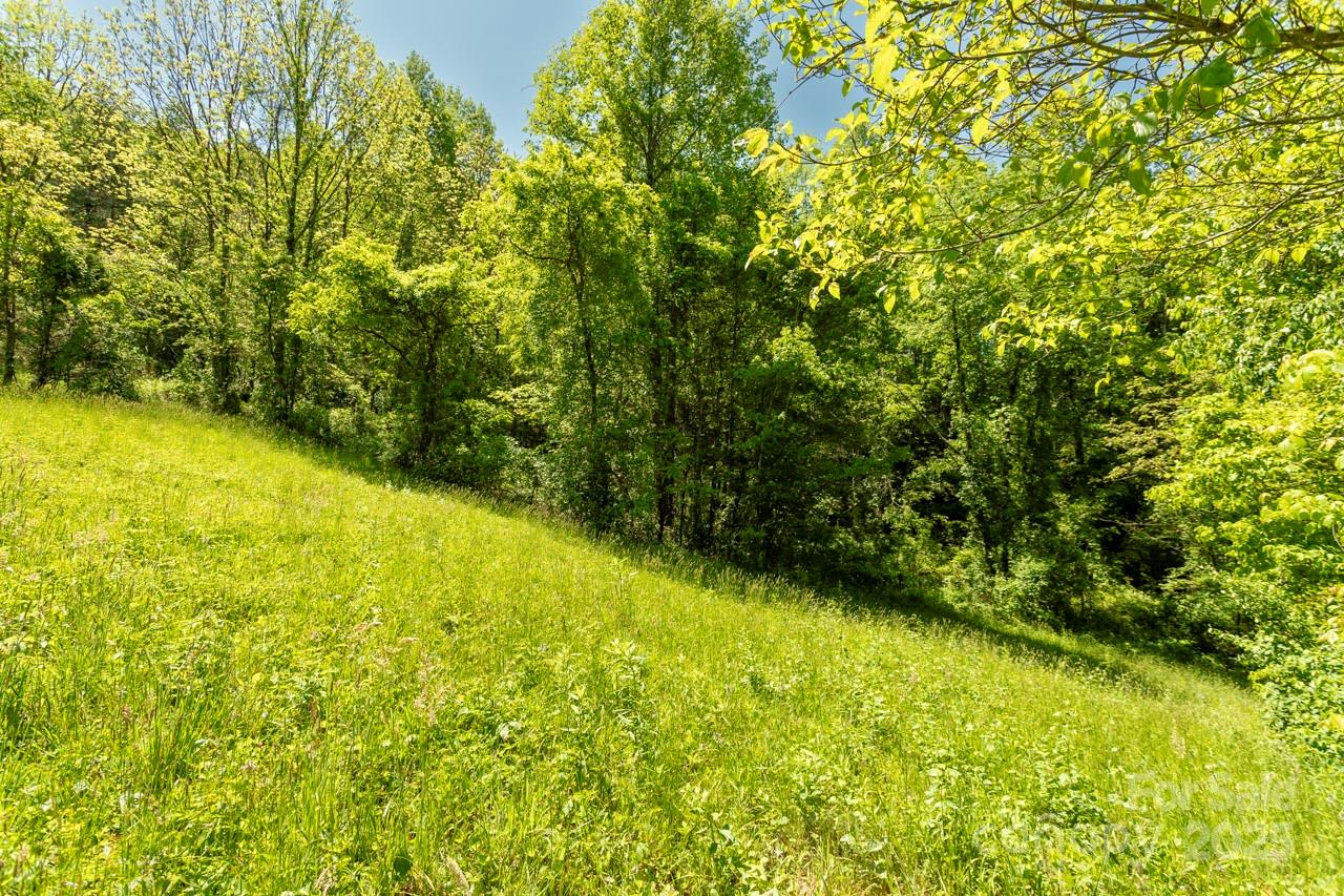 Acreage at Off of Locust Creek Road, Sylva, photo 9 of 20
