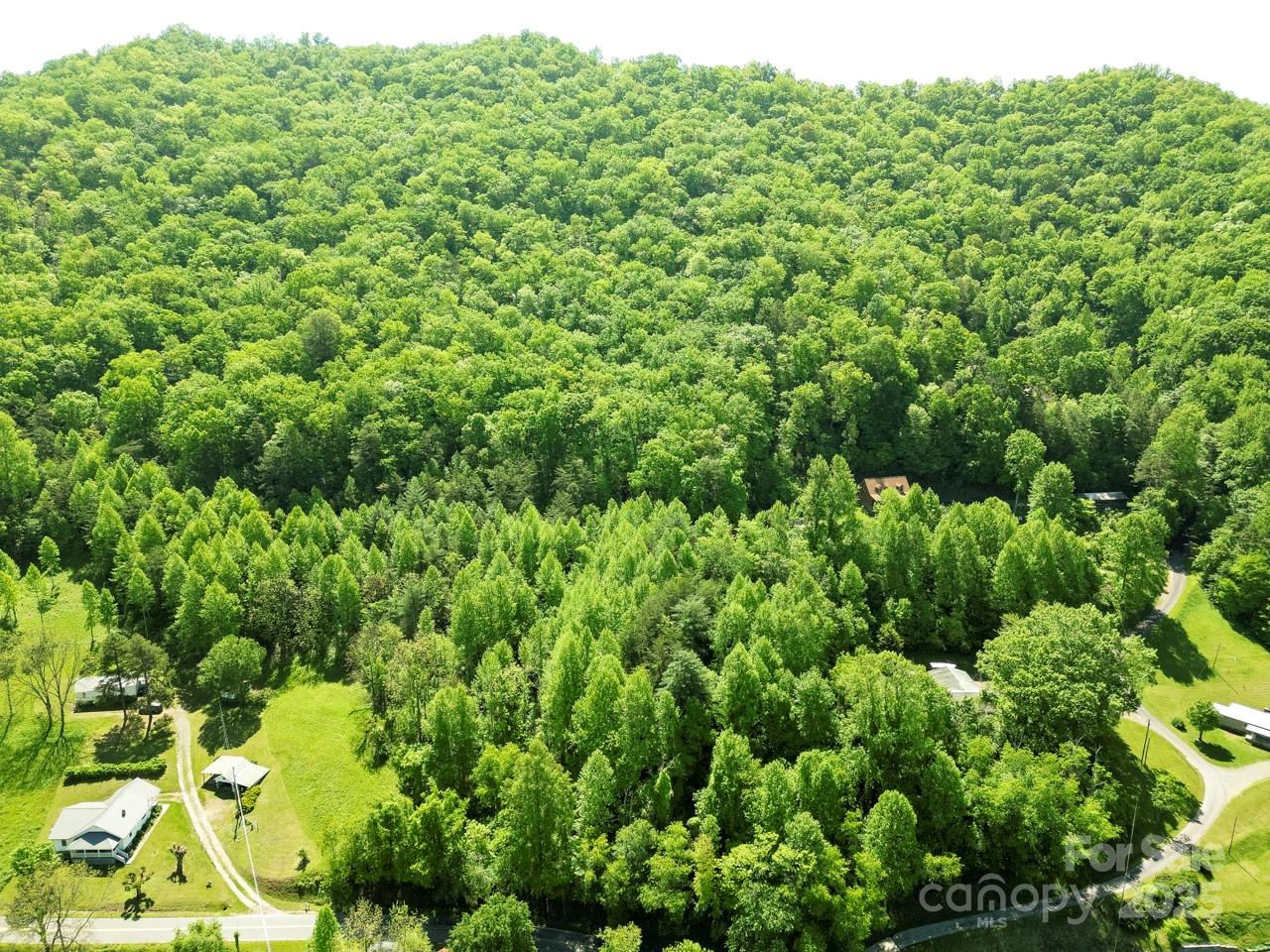 Acreage at Off of Locust Creek Road, Sylva, photo 11 of 20
