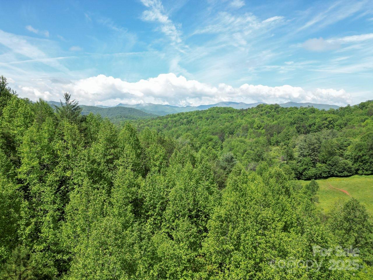 Acreage at Off of Locust Creek Road, Sylva, photo 14 of 20