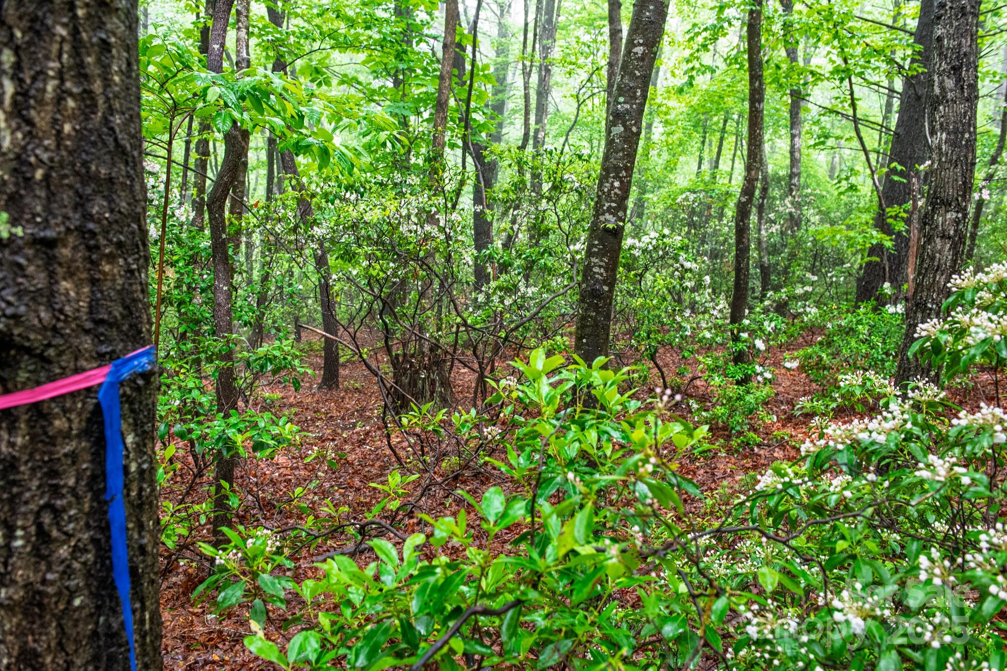 Acreage at 000 Rocky Top Road, Lenoir, photo 3 of 19