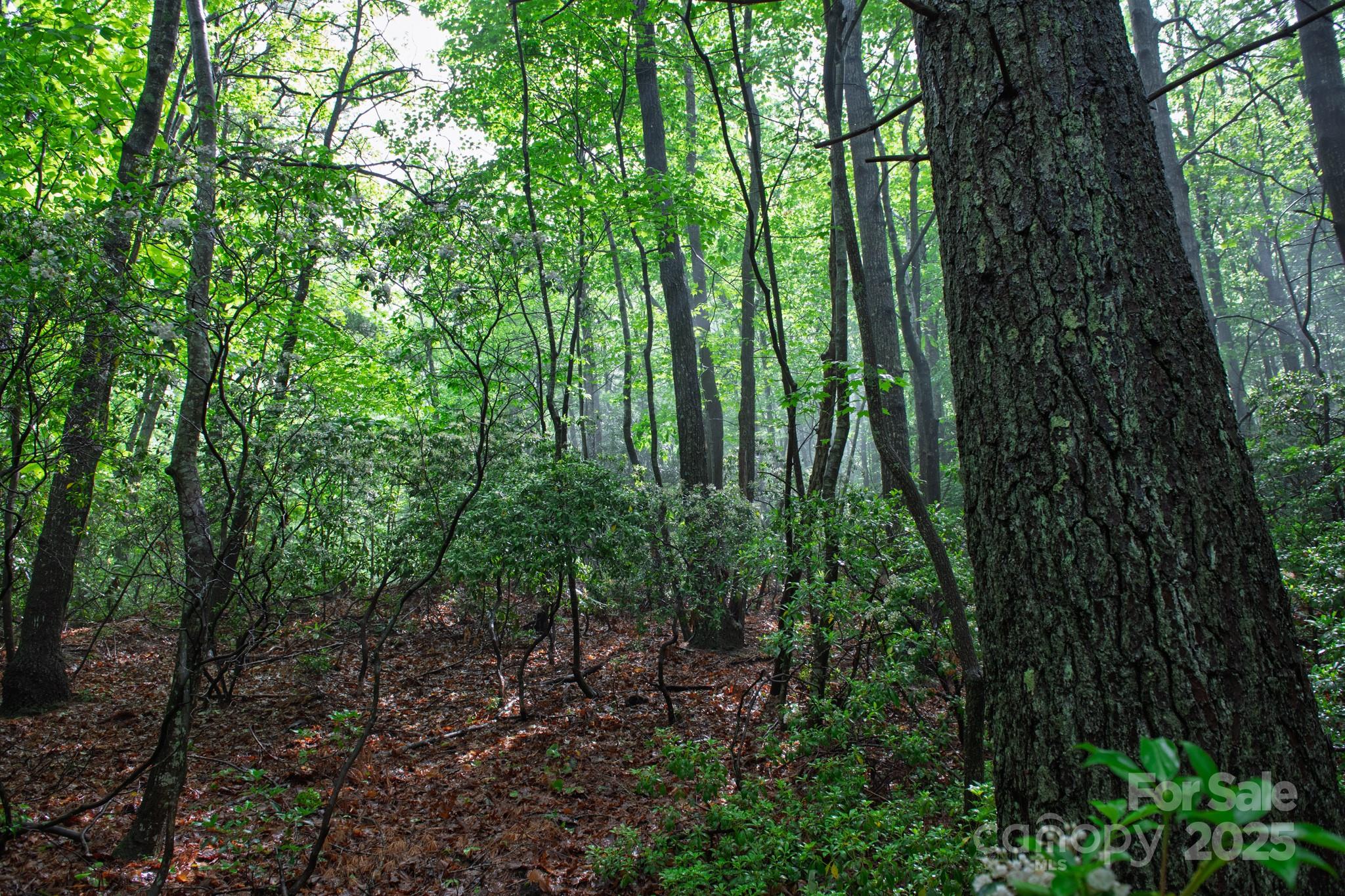 Acreage at 000 Rocky Top Road, Lenoir, photo 10 of 19