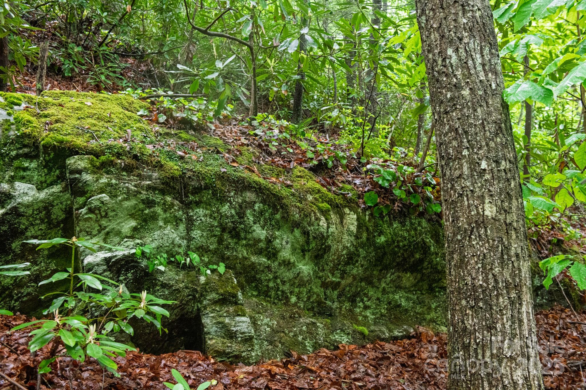 Acreage at 000 Rocky Top Road, Lenoir, photo 14 of 19