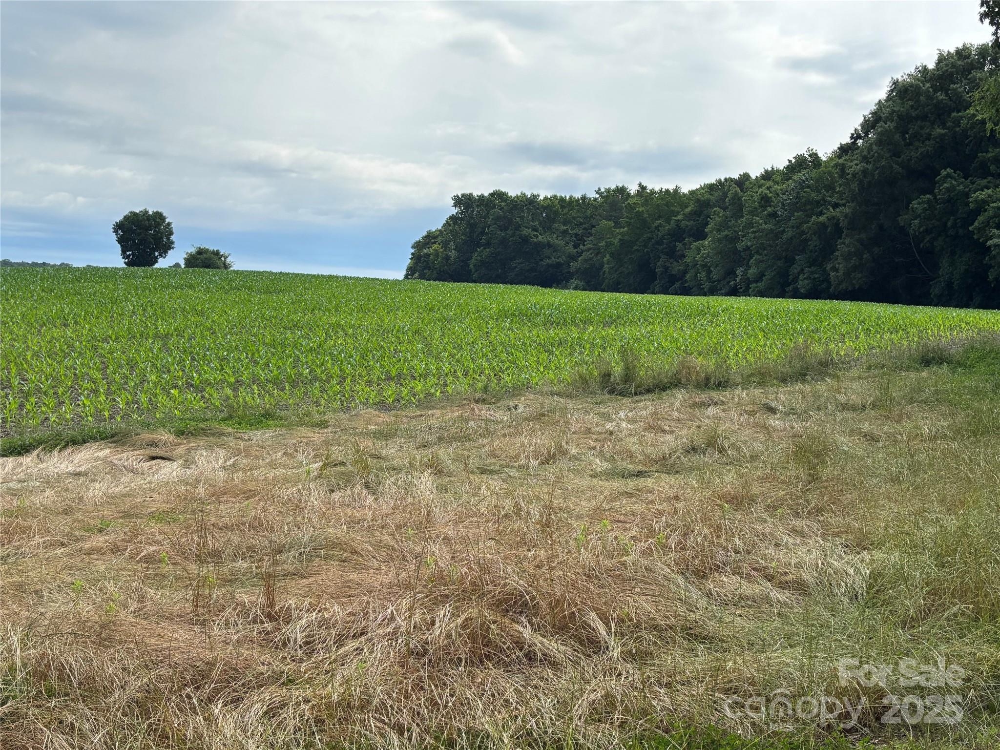 Acreage at 0 Wolf Pond Road, Monroe, photo 9 of 17