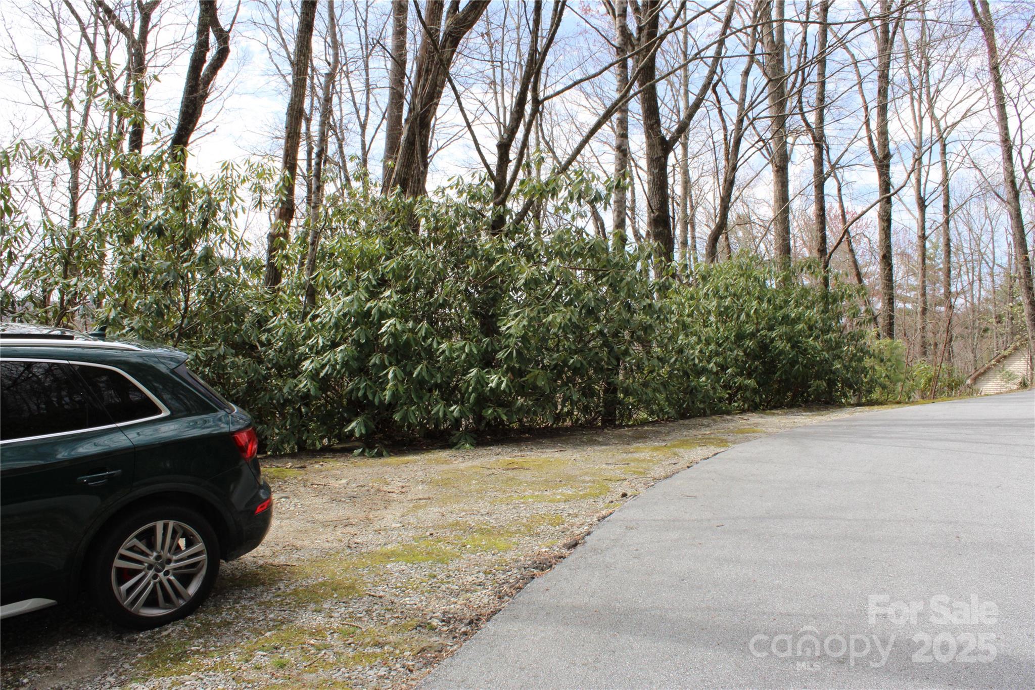 Parking Pull Off Near Lot 96 - Lot 96 Black Oak Drive, Sapphire