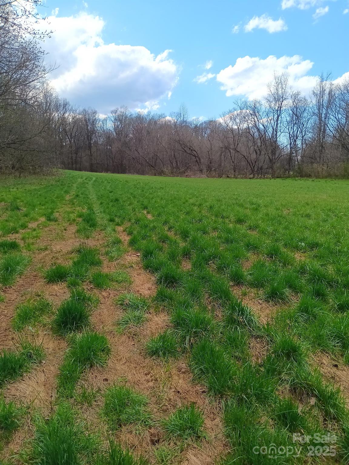 Lot at 128 Backrush Court, Statesville, photo 20 of 21