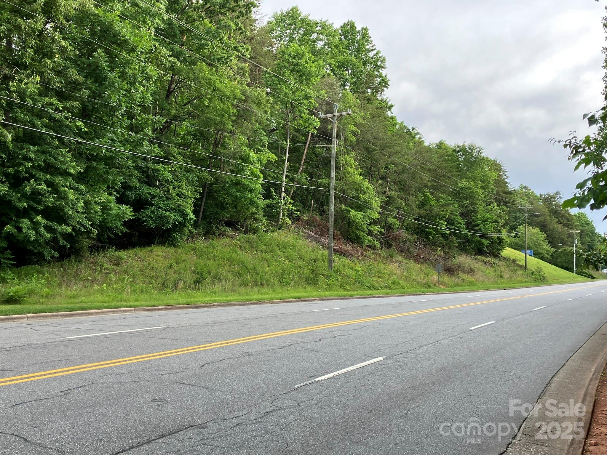 Unimproved Commercial at 0 S Oak Street, Spindale, photo 4 of 11
