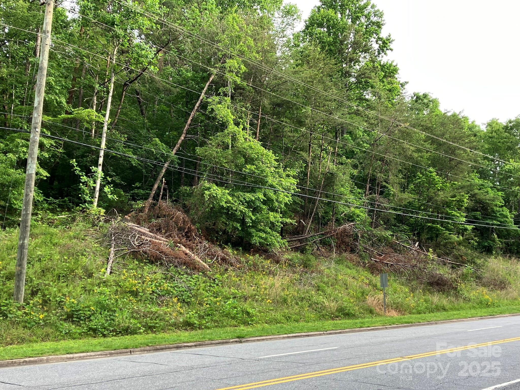 Unimproved Commercial at 0 S Oak Street, Spindale, photo 6 of 11