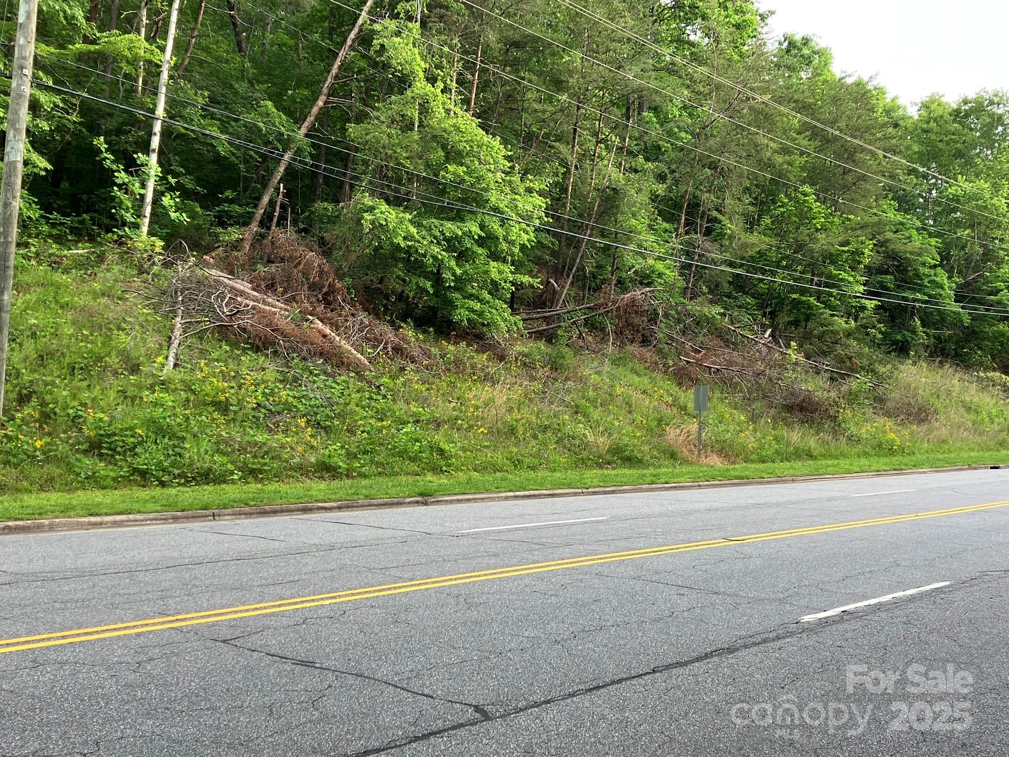Unimproved Commercial at 0 S Oak Street, Spindale, photo 7 of 11