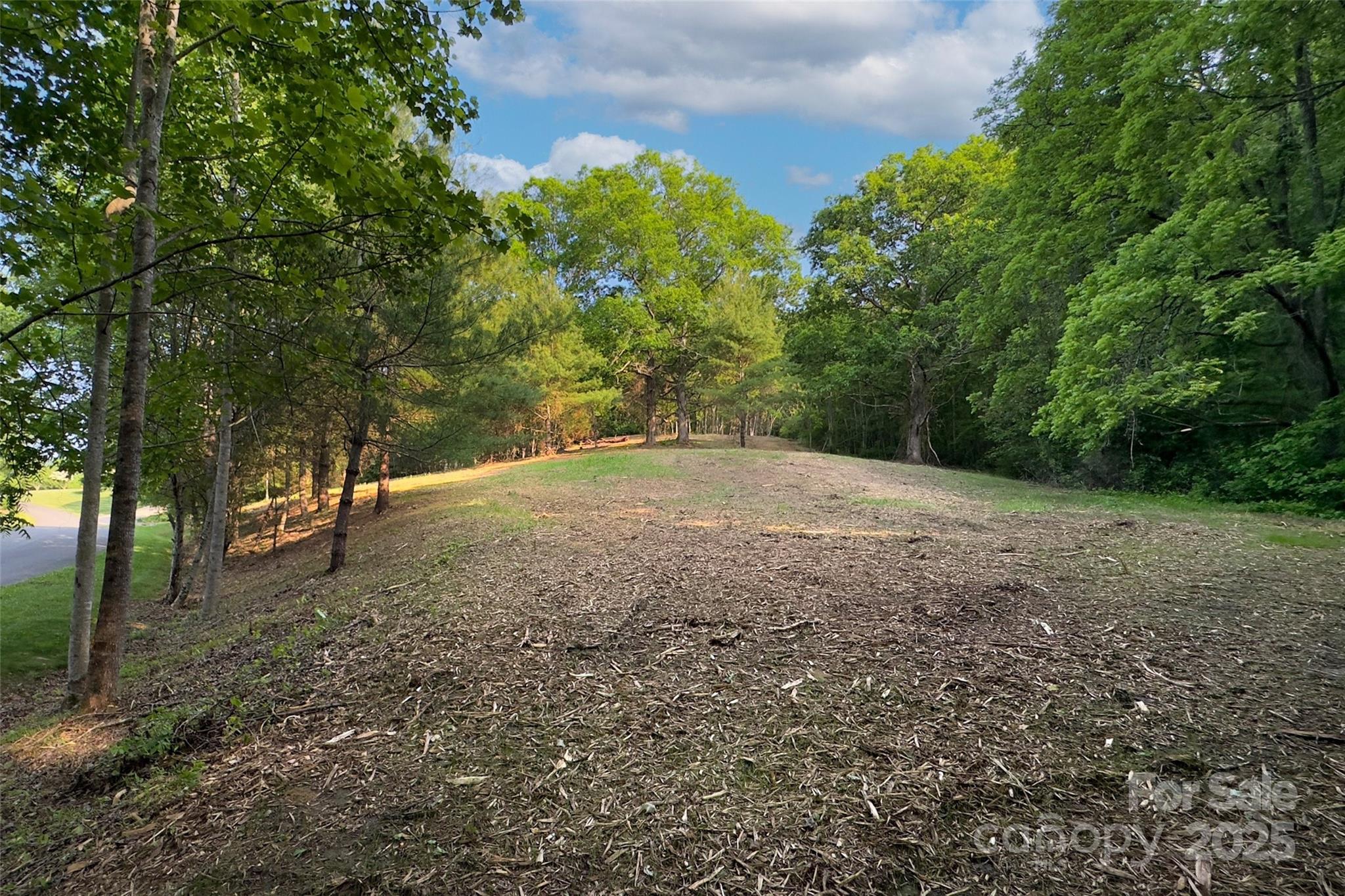 Acreage at V/L Smith Knolls Road, Fairview, photo 7 of 31