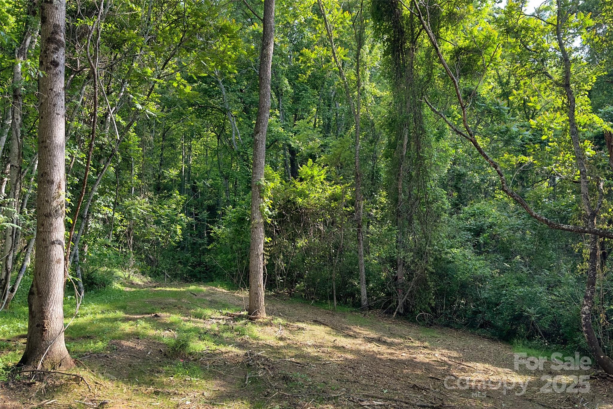 Acreage at V/L Smith Knolls Road, Fairview, photo 12 of 31