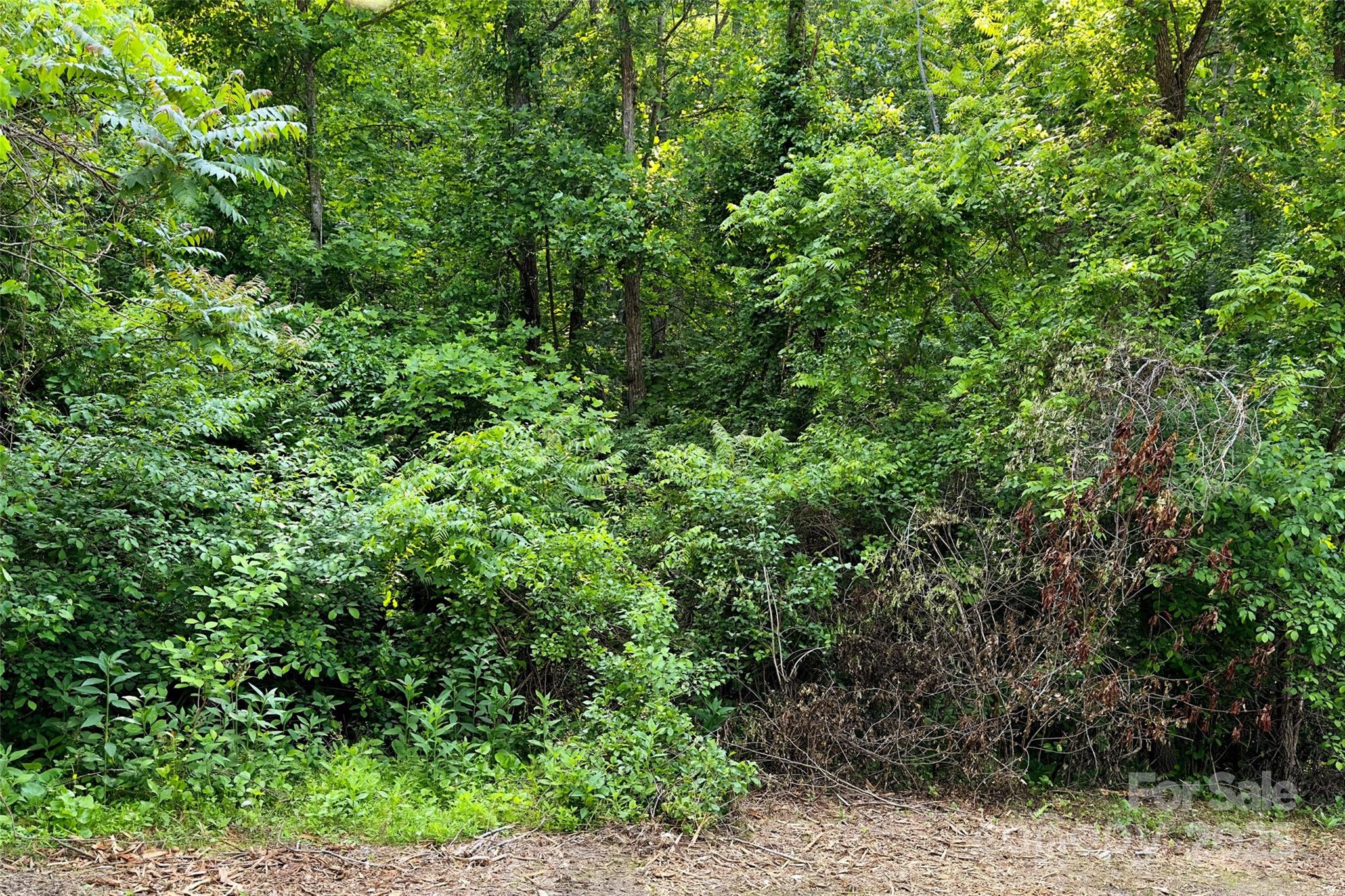 Acreage at V/L Smith Knolls Road, Fairview, photo 16 of 31