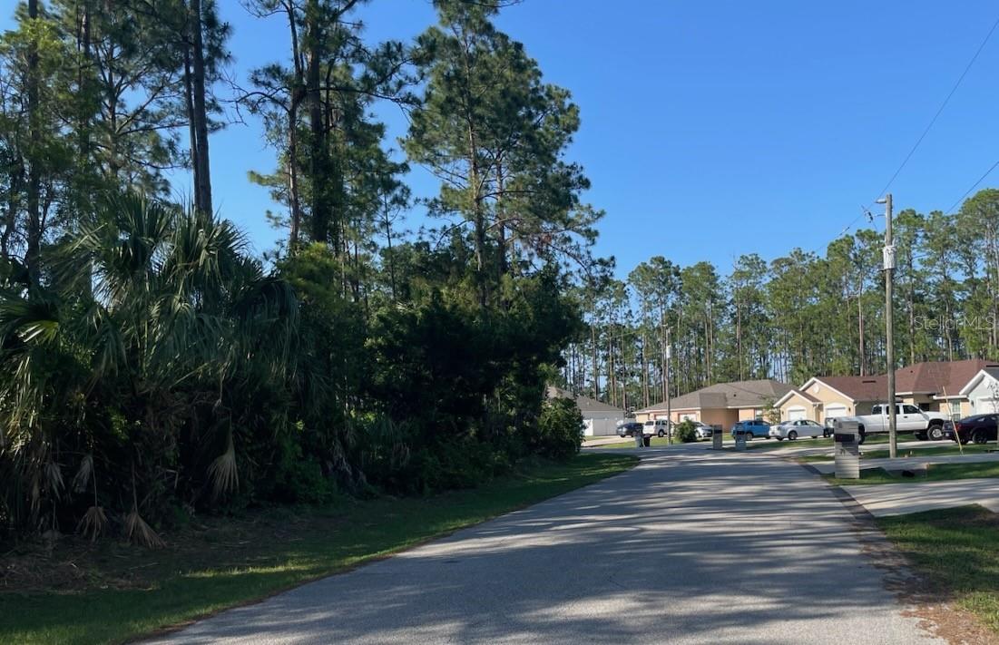 33 PONDEROSA LANE