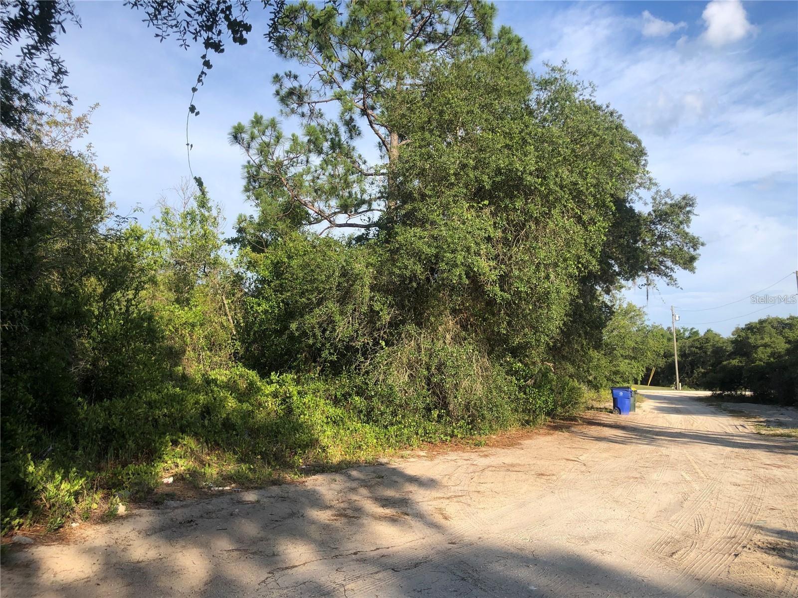 Lot on left, view from Rehner to Todd - 2610 N REHRER RD, AVON PARK