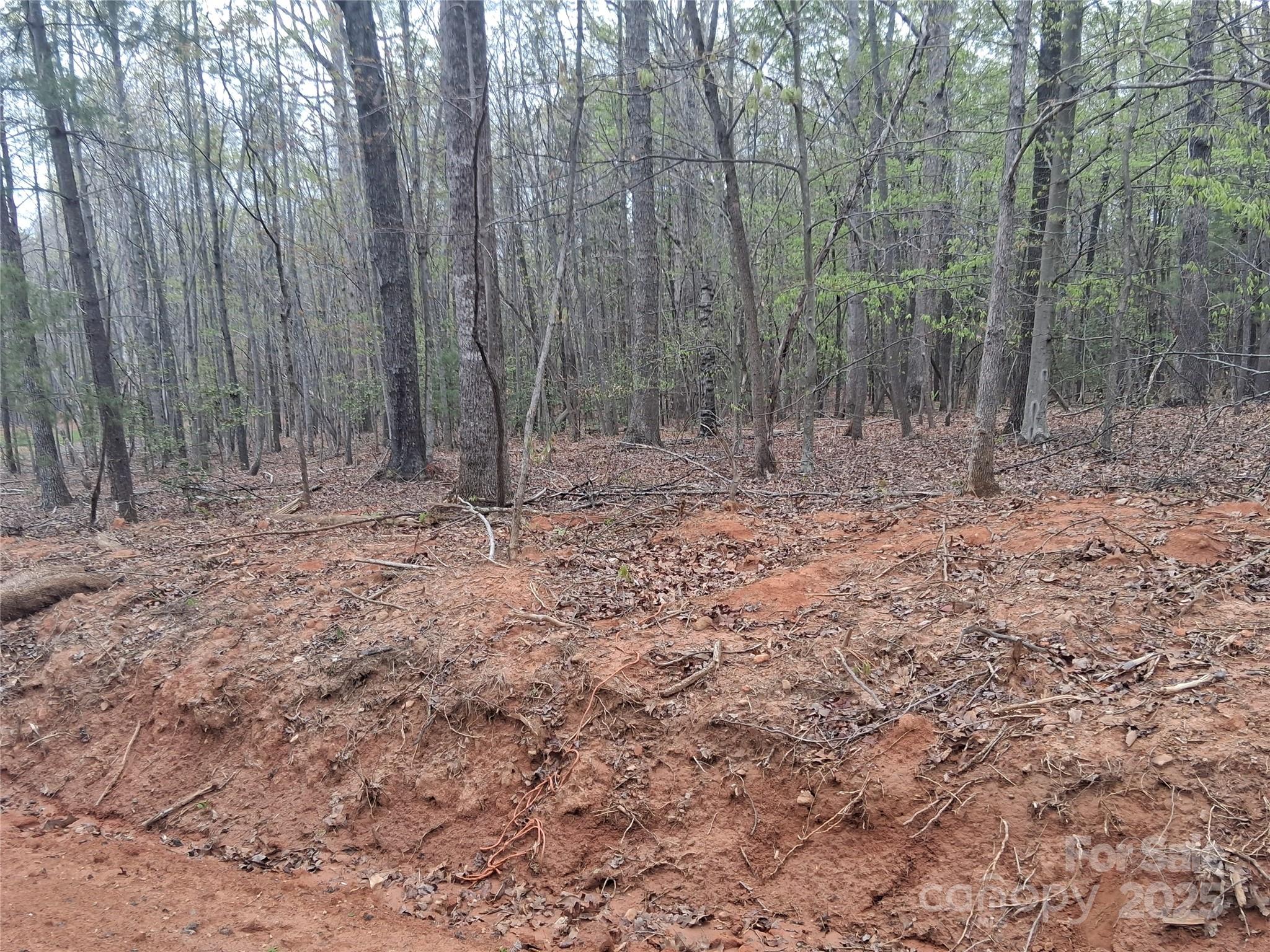 Lot at 2320 Magnolia Place, Morganton, photo 19 of 34