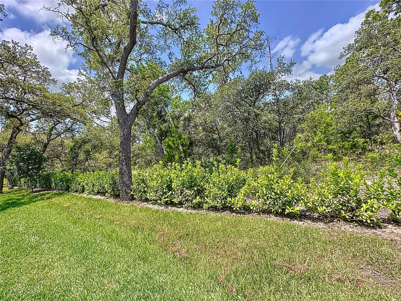 Townhouse at 1425 SERENDIPITY LN, CLERMONT, photo 80 of 90