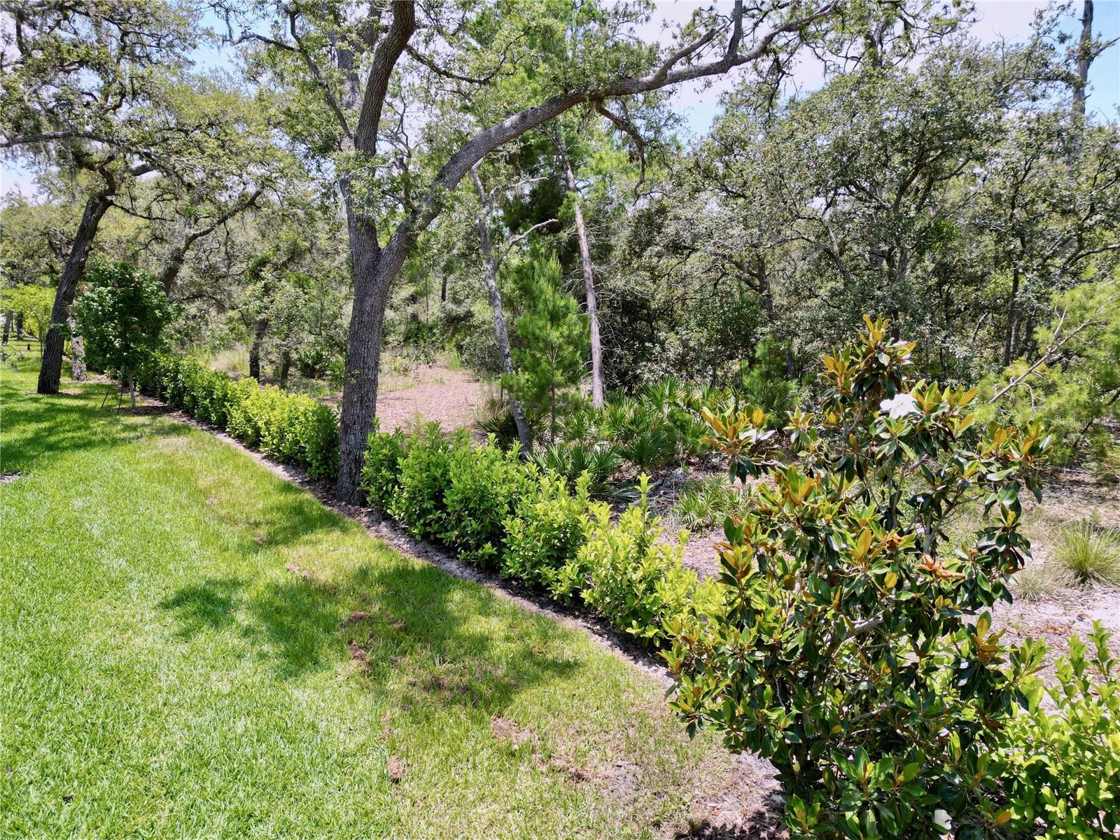 Townhouse at 1425 SERENDIPITY LN, CLERMONT, photo 81 of 90