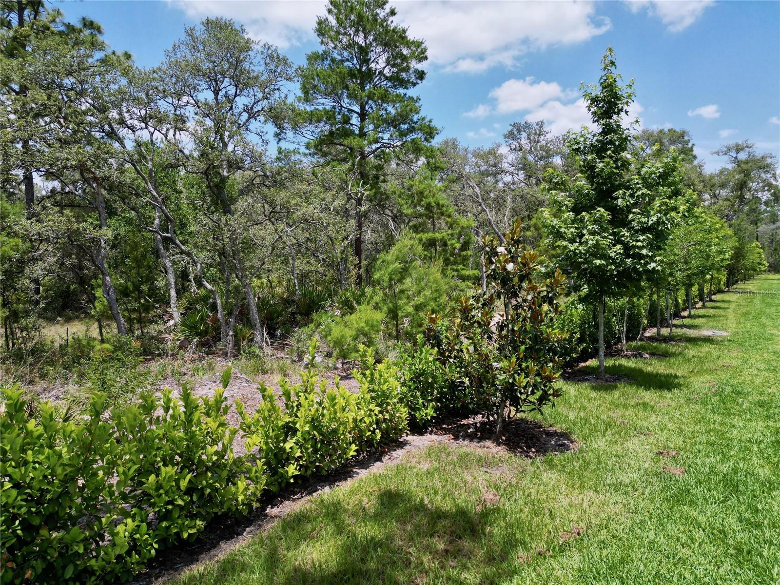 Townhouse at 1425 SERENDIPITY LN, CLERMONT, photo 82 of 90