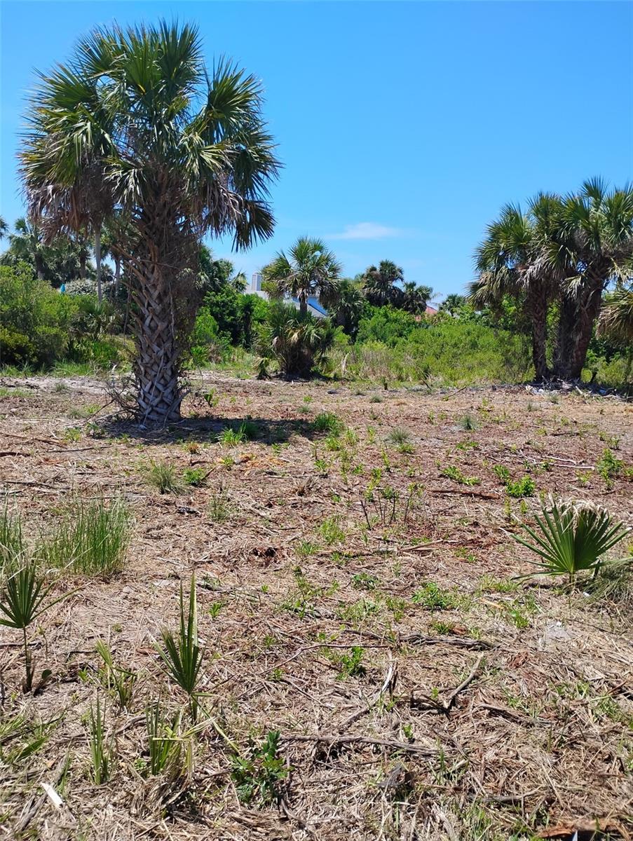 Land at 24 MAHOE DR S, PALM COAST, photo 8 of 30