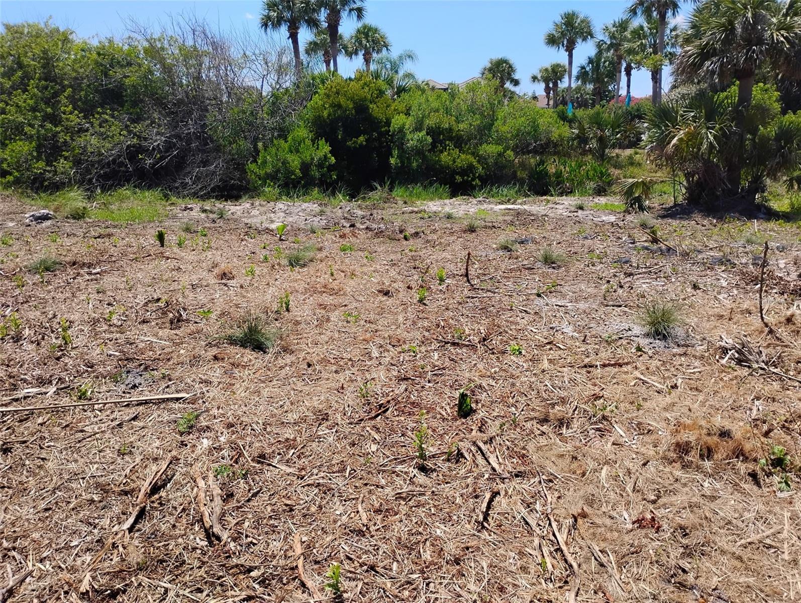 Land at 24 MAHOE DR S, PALM COAST, photo 12 of 30
