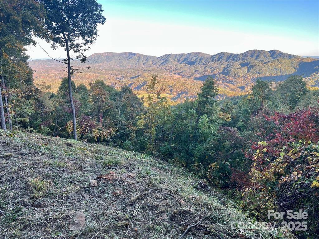 Lot at 1591 Creston Drive, Black Mountain, photo 2 of 11