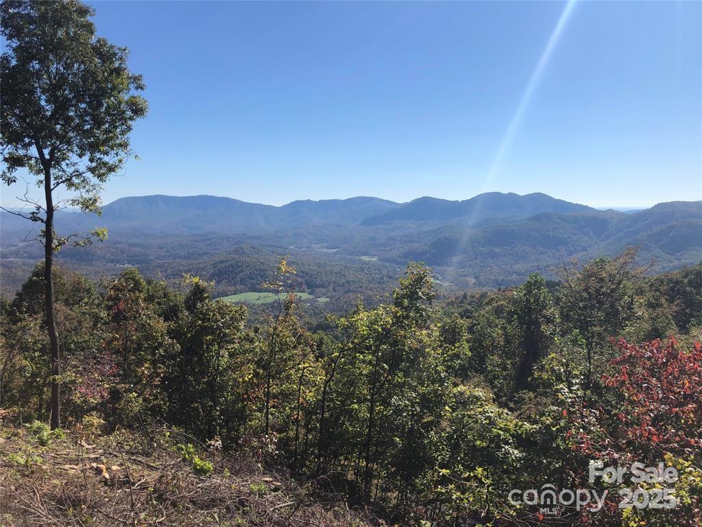 Lot at 1591 Creston Drive, Black Mountain, photo 5 of 11