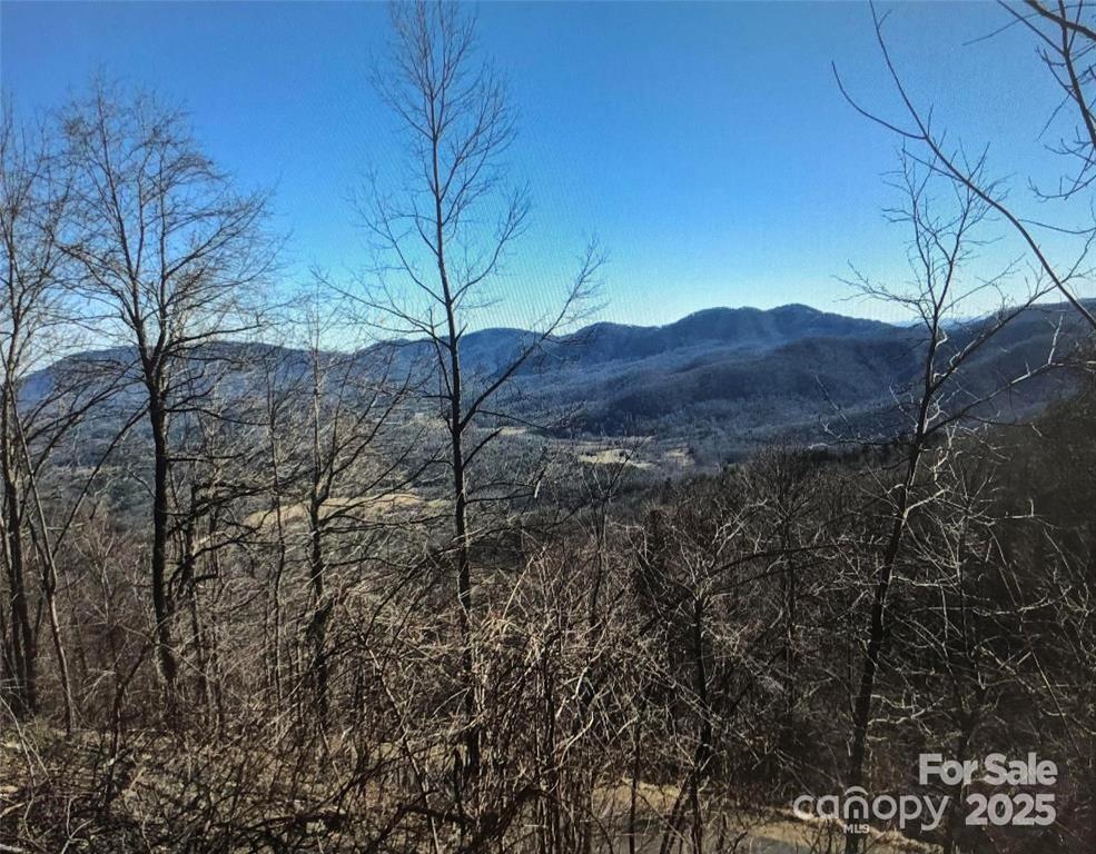 Lot at 1591 Creston Drive, Black Mountain, photo 6 of 11