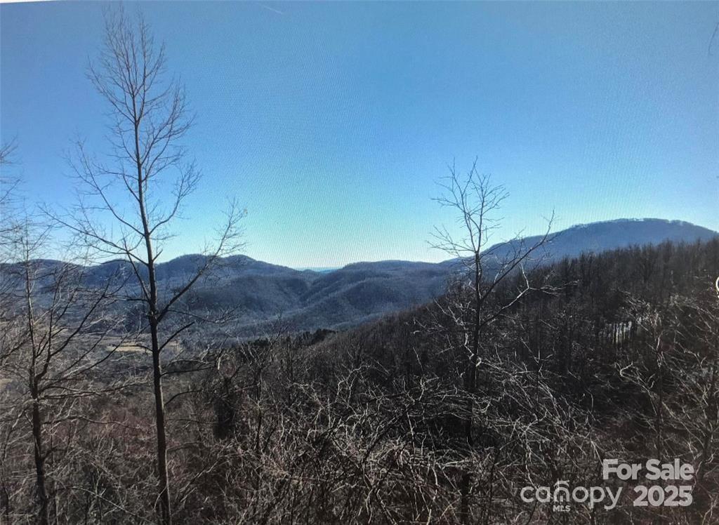Lot at 1591 Creston Drive, Black Mountain, photo 7 of 11