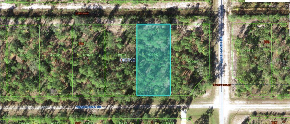 604 TROPICANA DR
