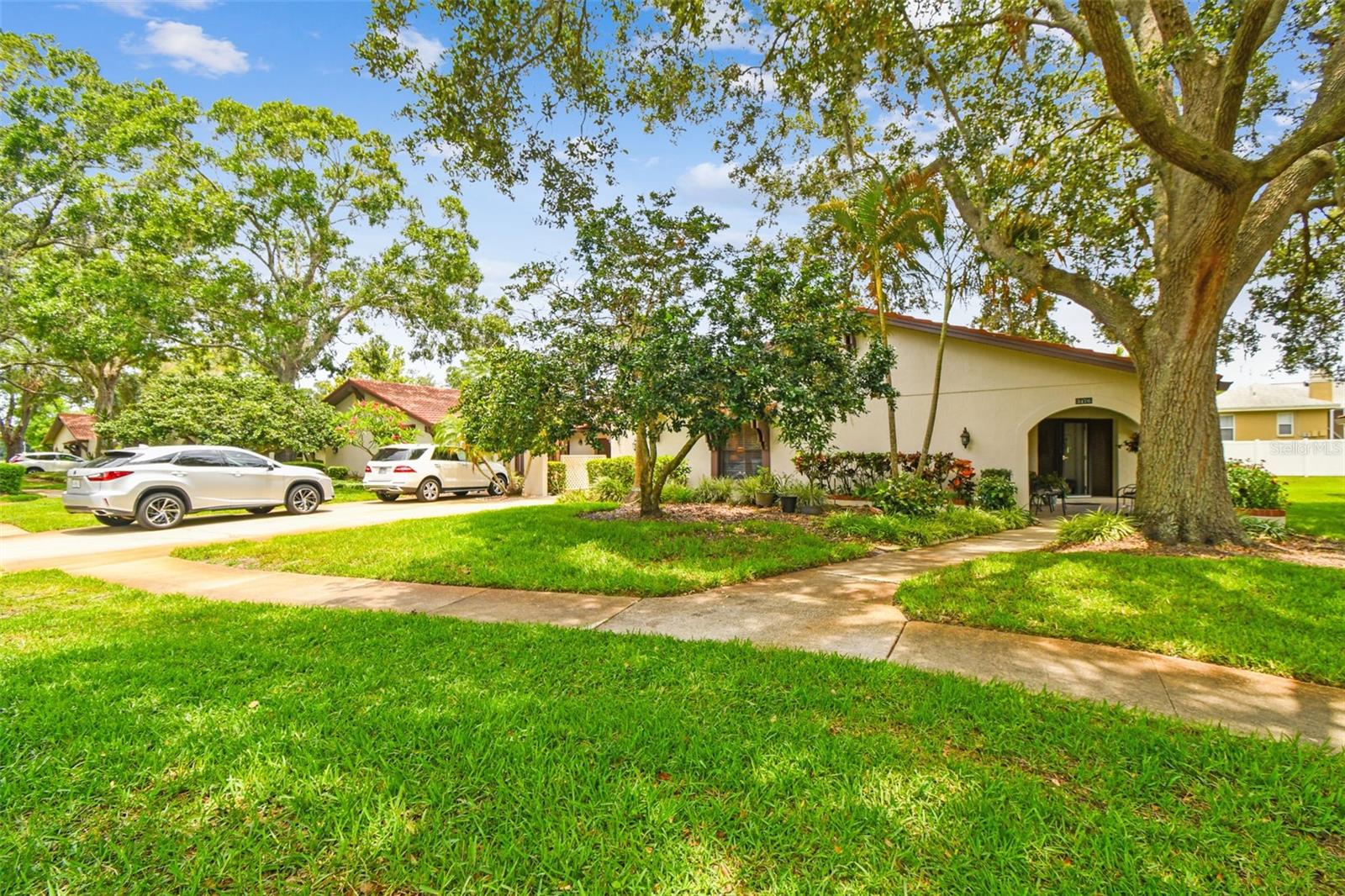 3476 TARPON WOODS BLVD