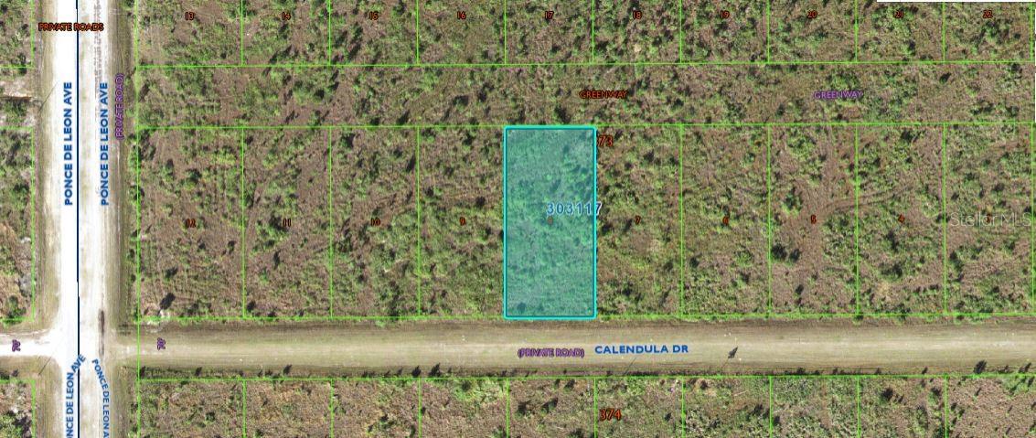 316 CALENDULA DR