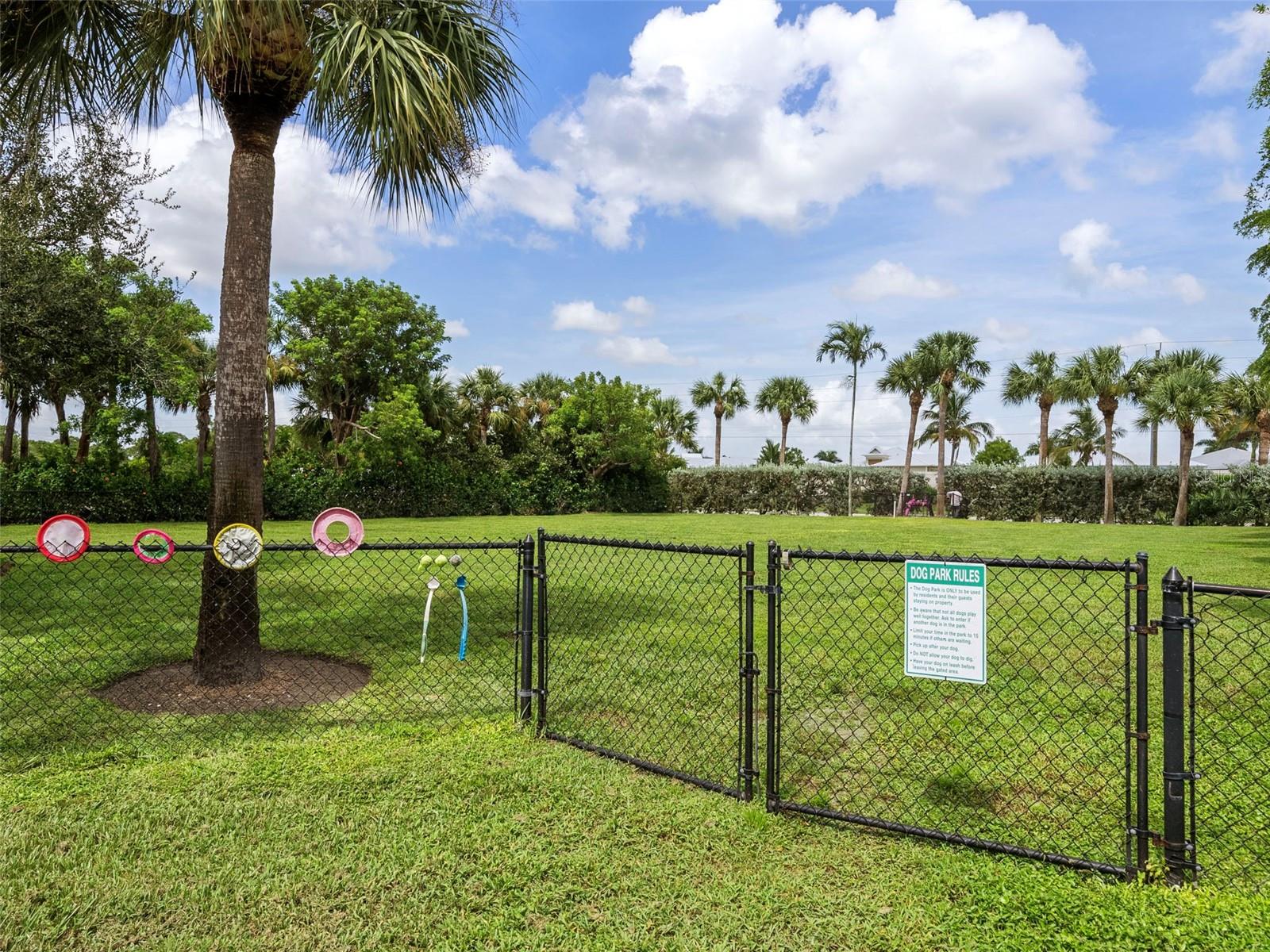 Dog park - 11100 HACIENDA DEL MAR BLVD #G-304, PLACIDA