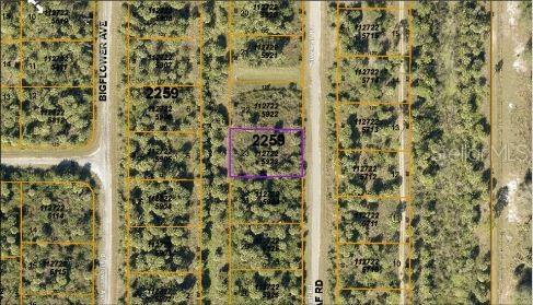 Land at E FIVELEAF DR,, NORTH PORT, photo 5 of 5