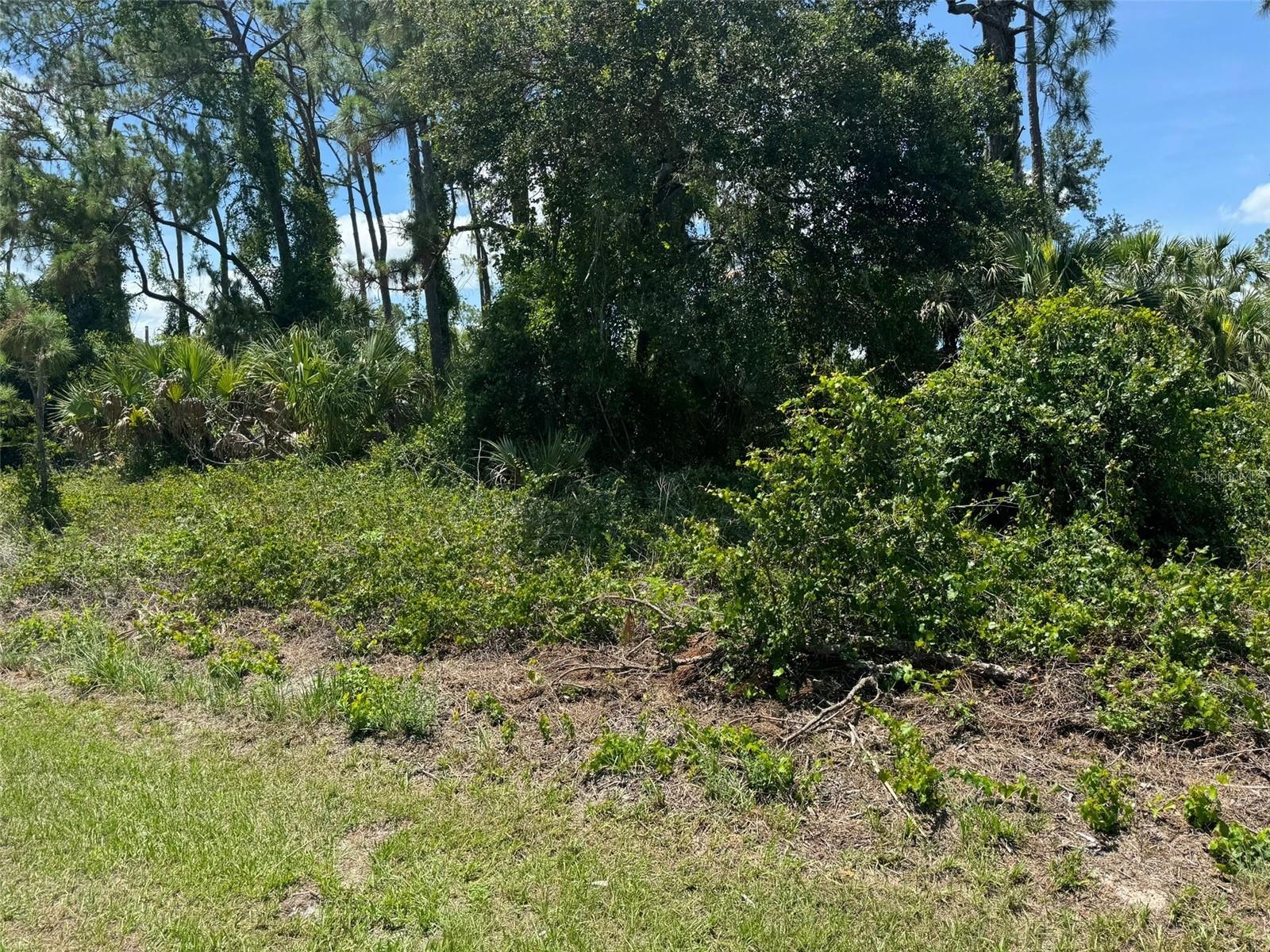SW 135TH STREET ROAD #20