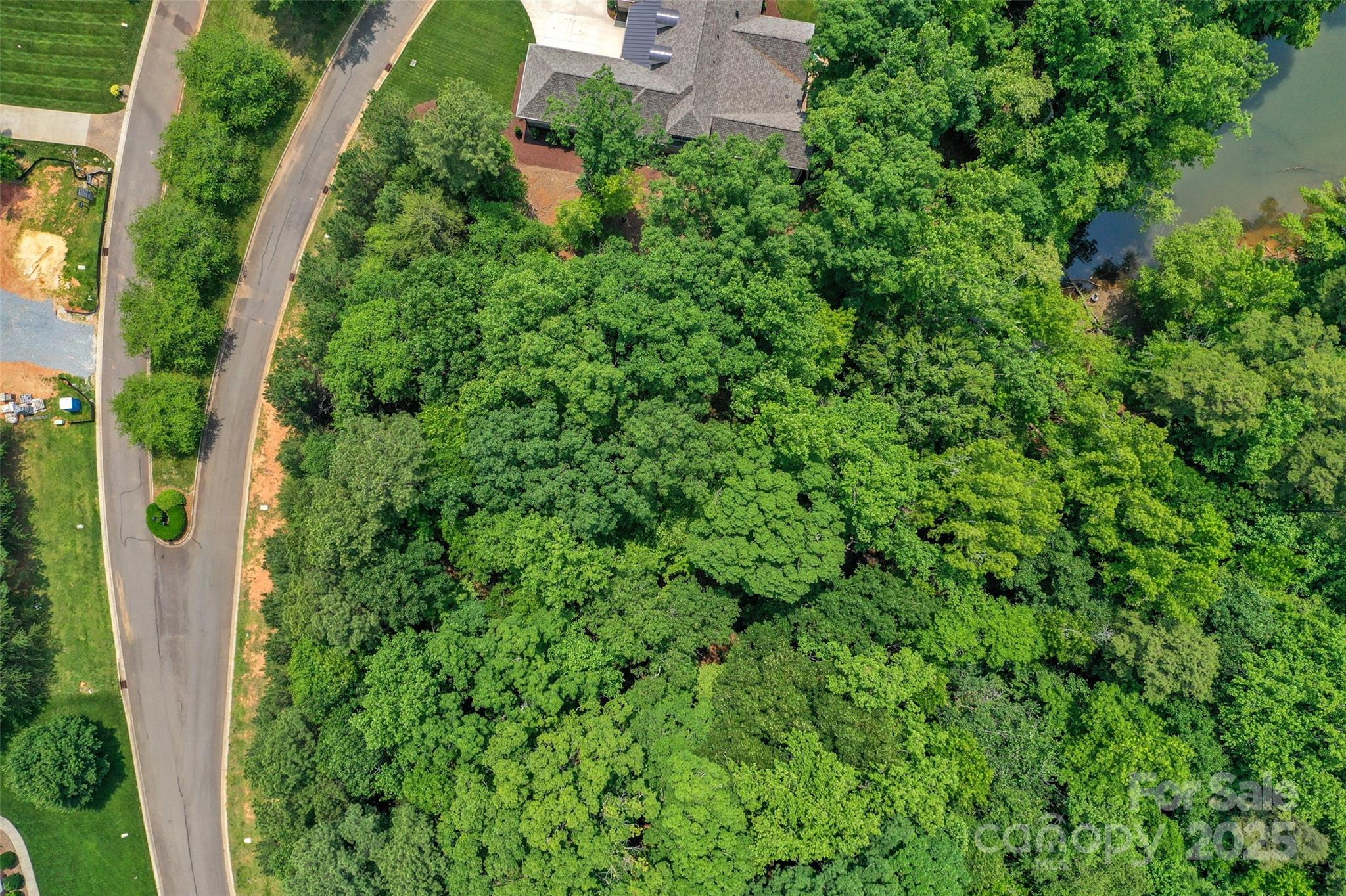 Overhead View - 3228 Ashwood Park Drive, Belmont